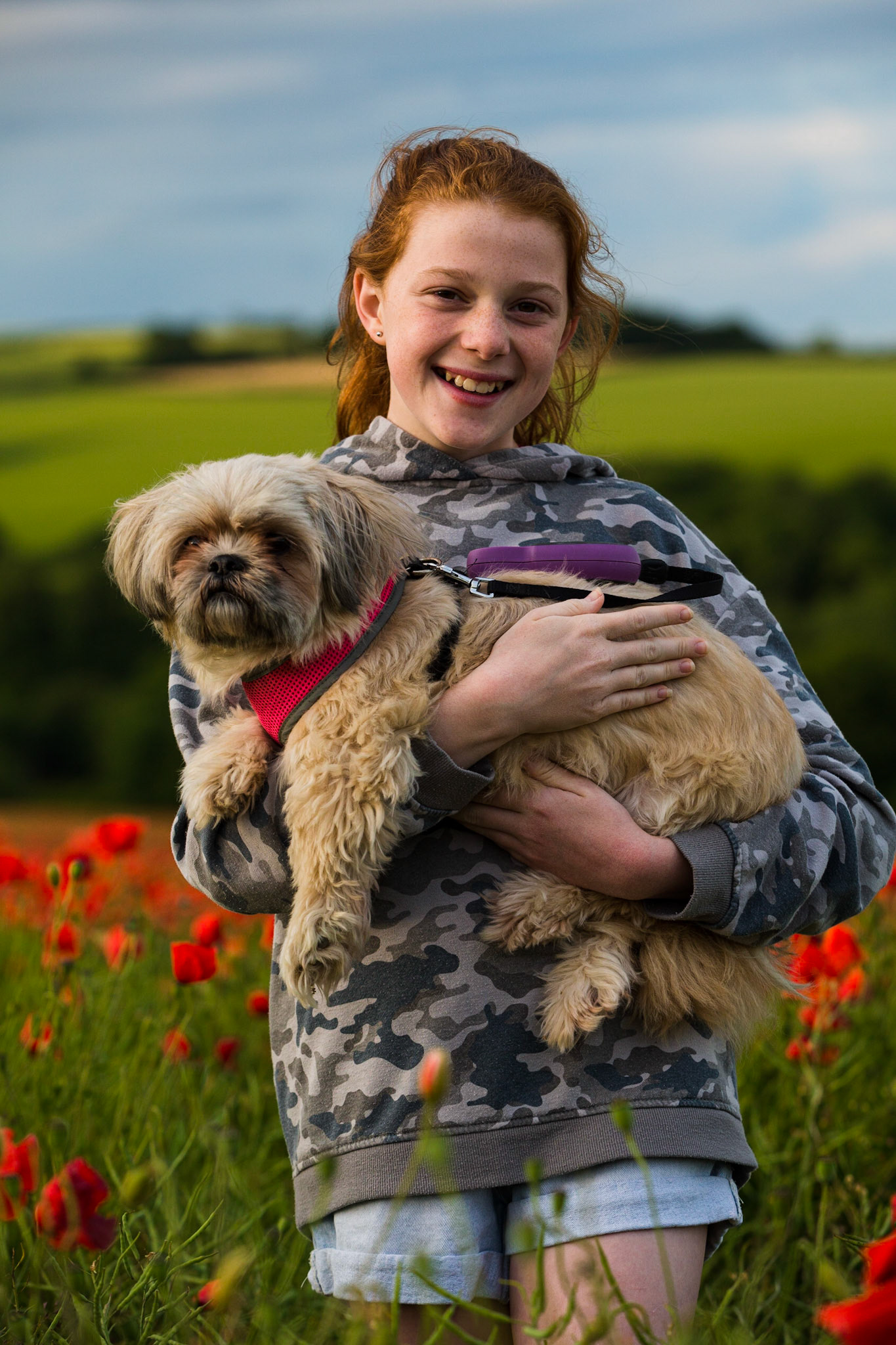 Red Poppy field Near Dorchester Dorset in June during a spell of stormy weather