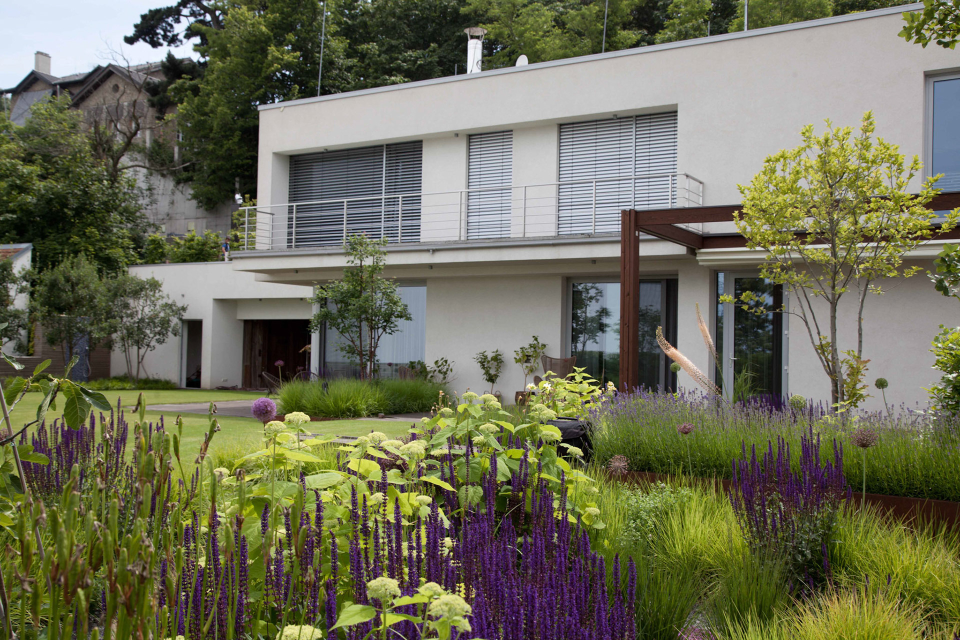 trvalkovy zahon v modernej zahrade