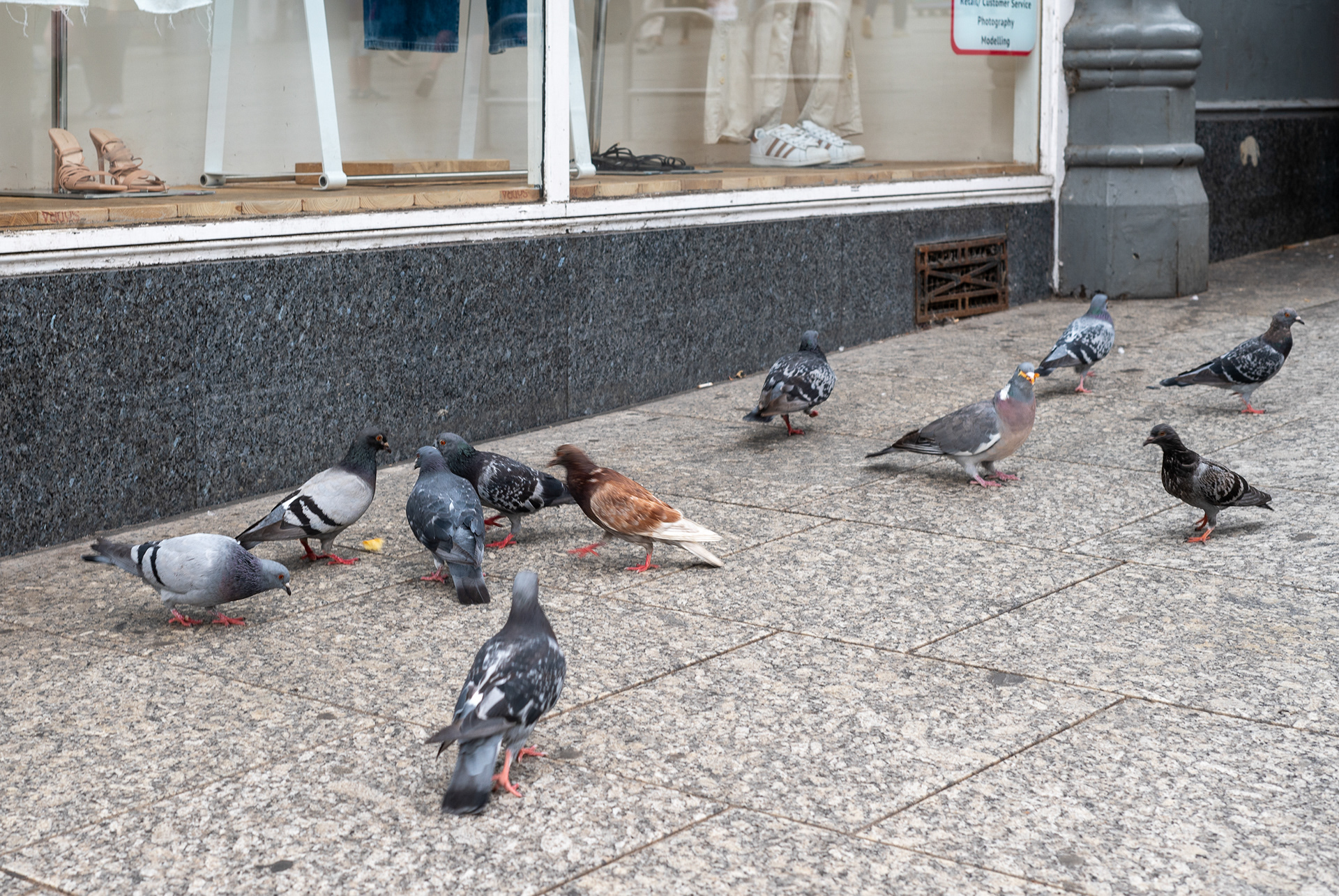 Old Market Square 2024