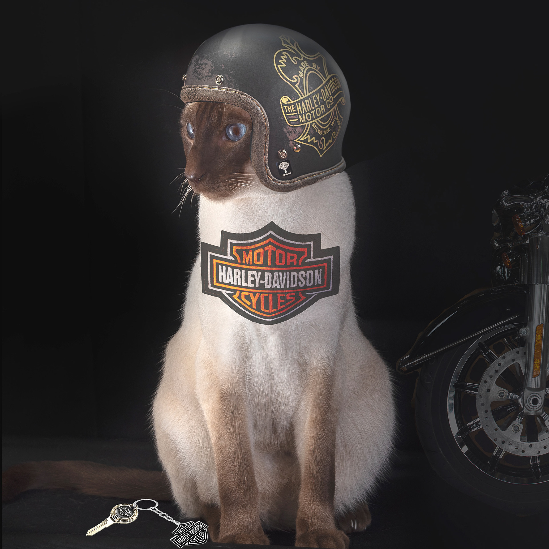Harley Davidson
