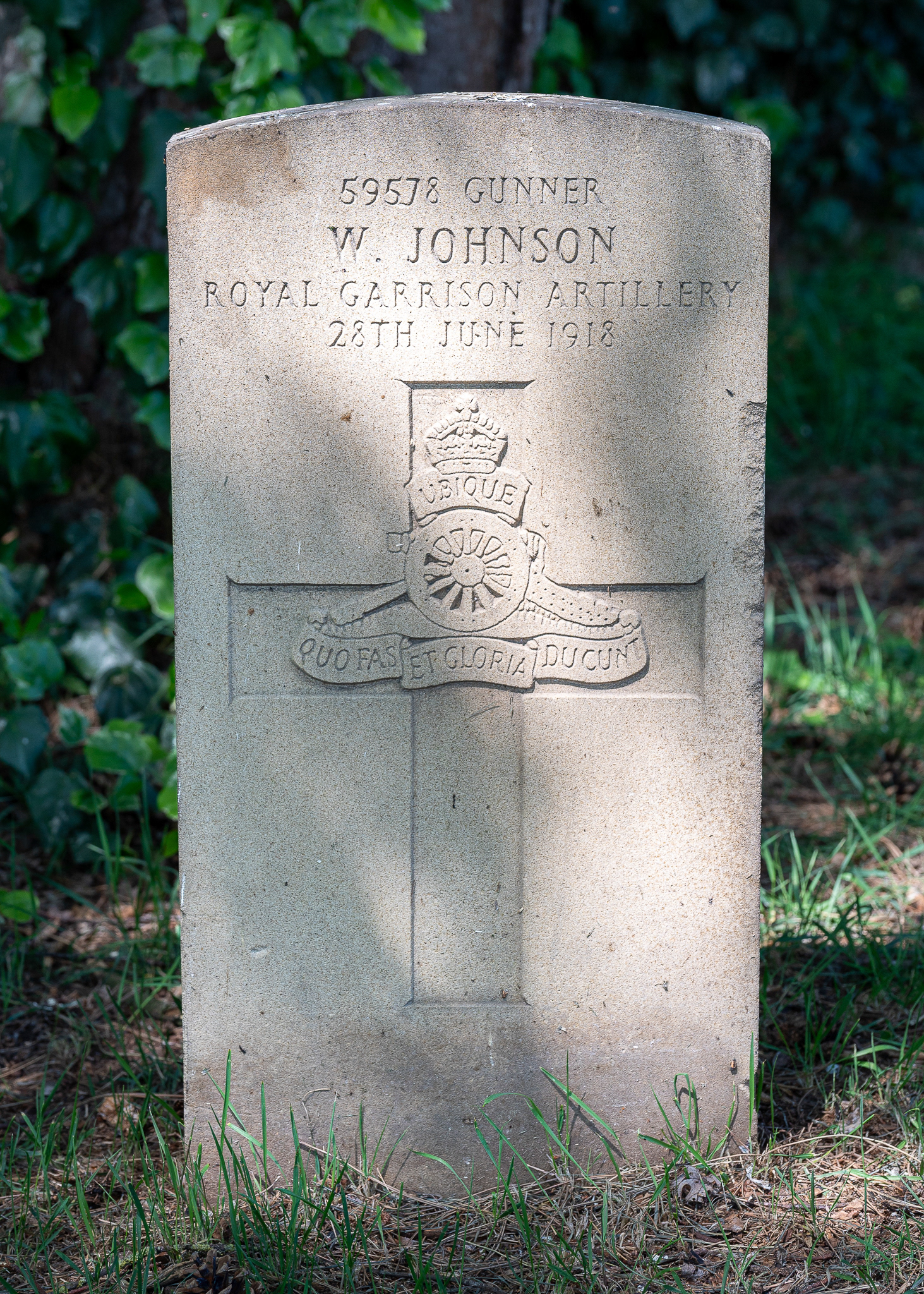JOHNSON W