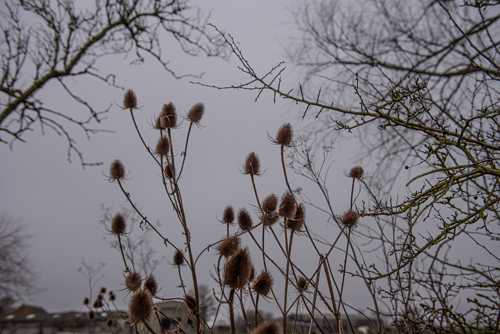 Kegworth floods December 2020