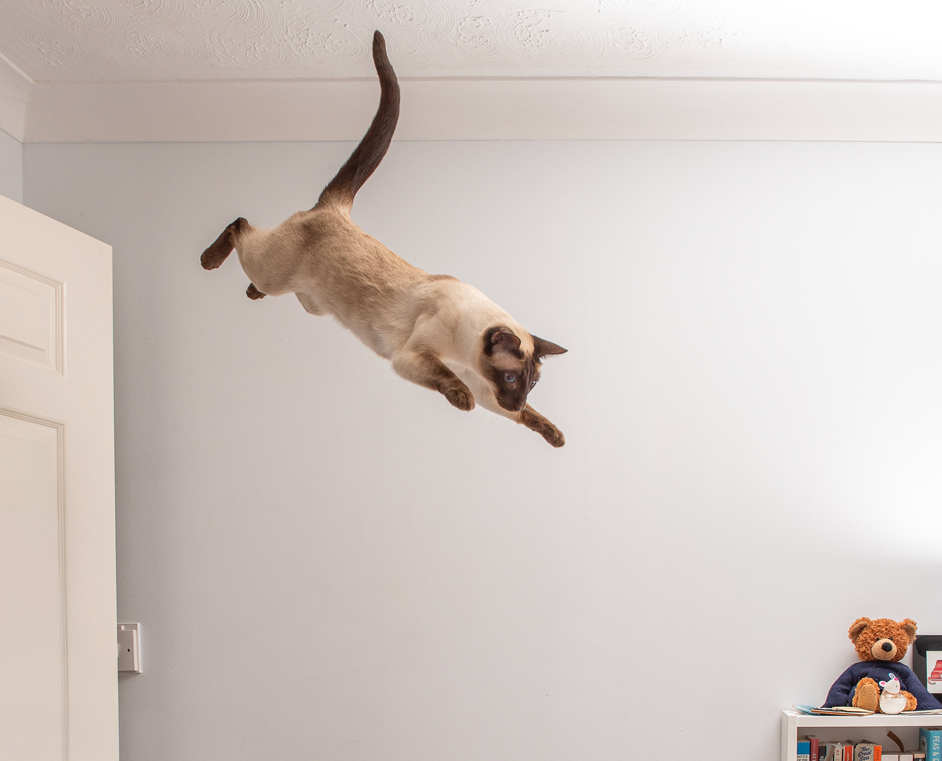 Who needs an alarm clock when you can be awakened with this?