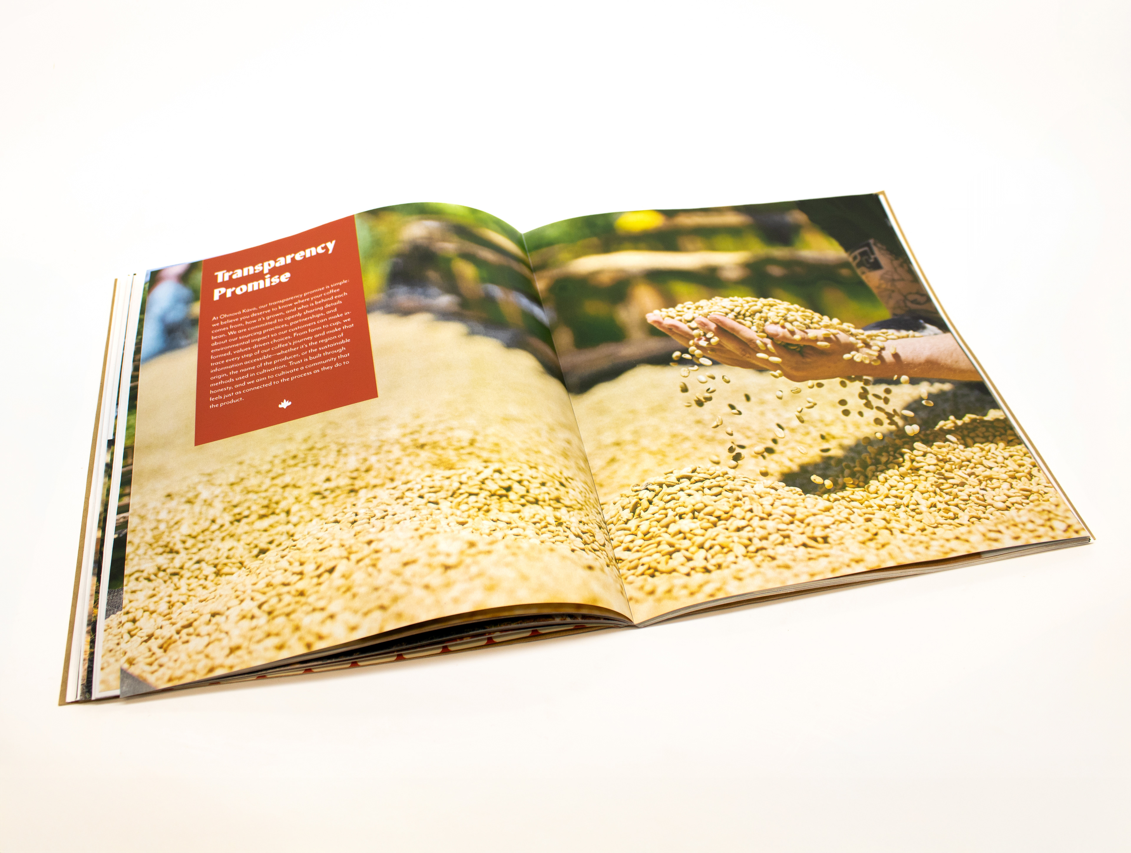 Ohnǒva Káva Investor Look Book Spread