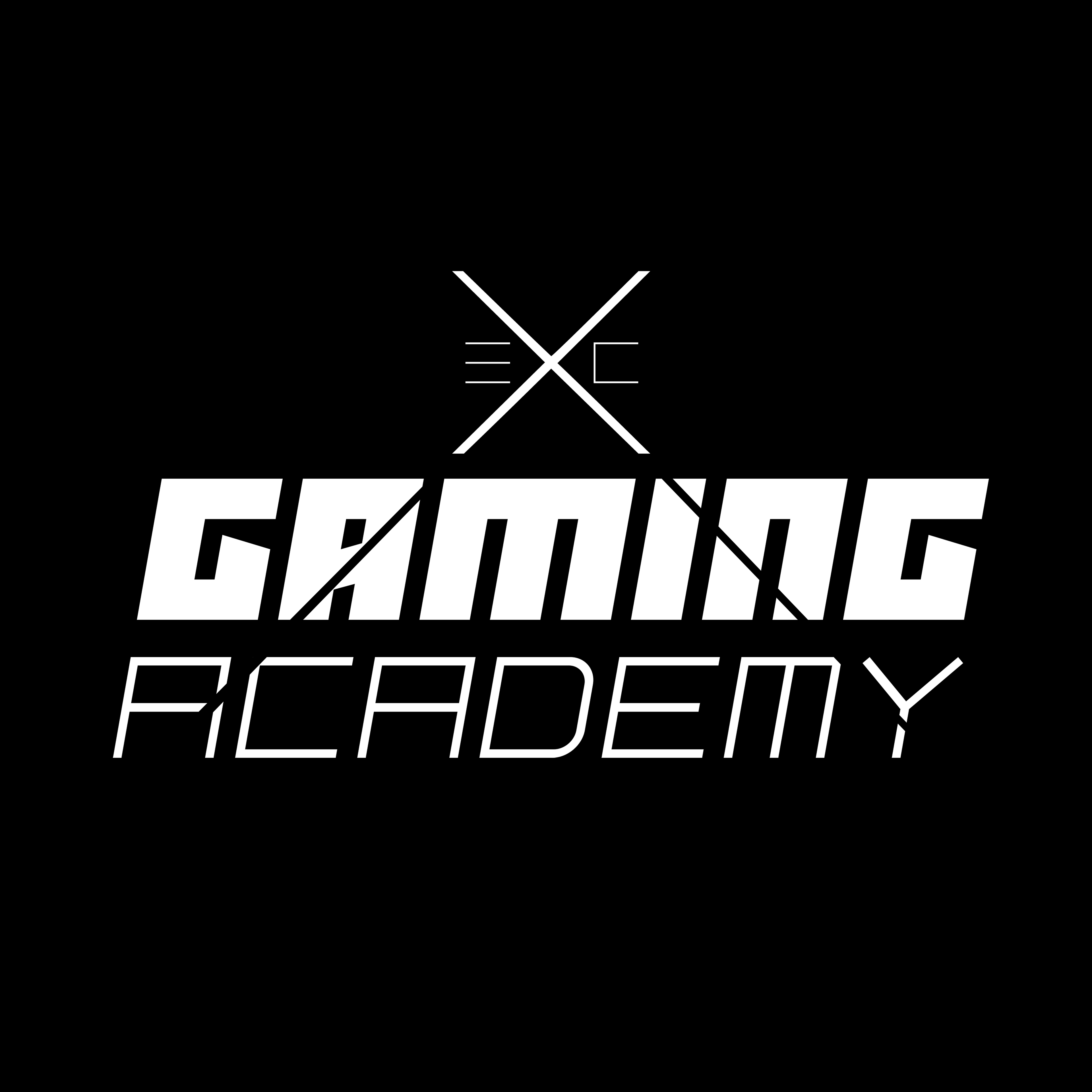 Ecliptix Gaming Academy