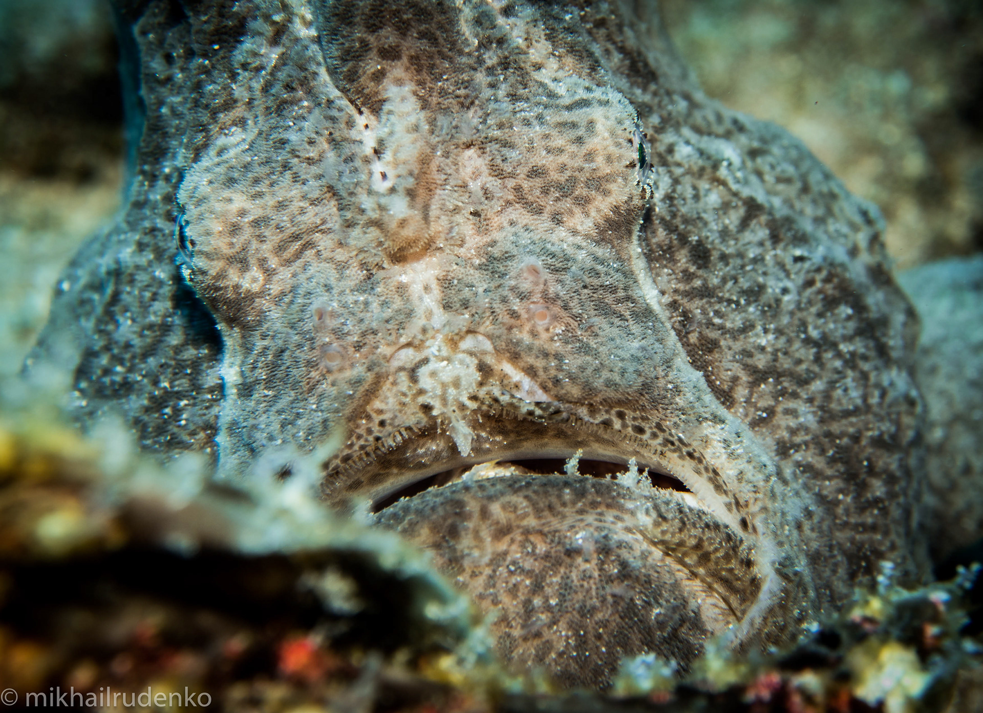 32. Dwayne "The Rock"