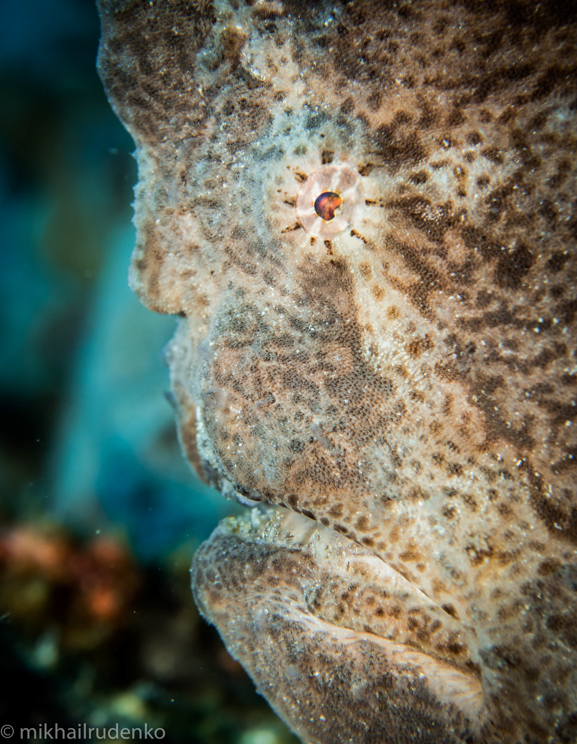 33. Dwayne "The Rock"