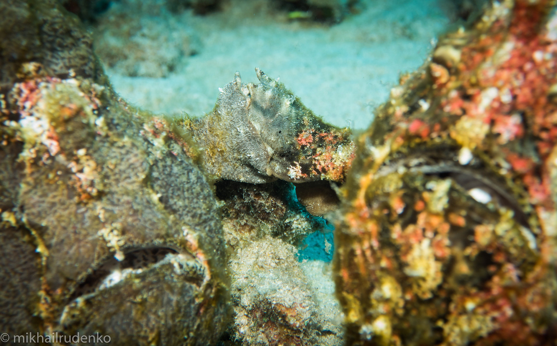 29. Frodo and Big Mama holding hands