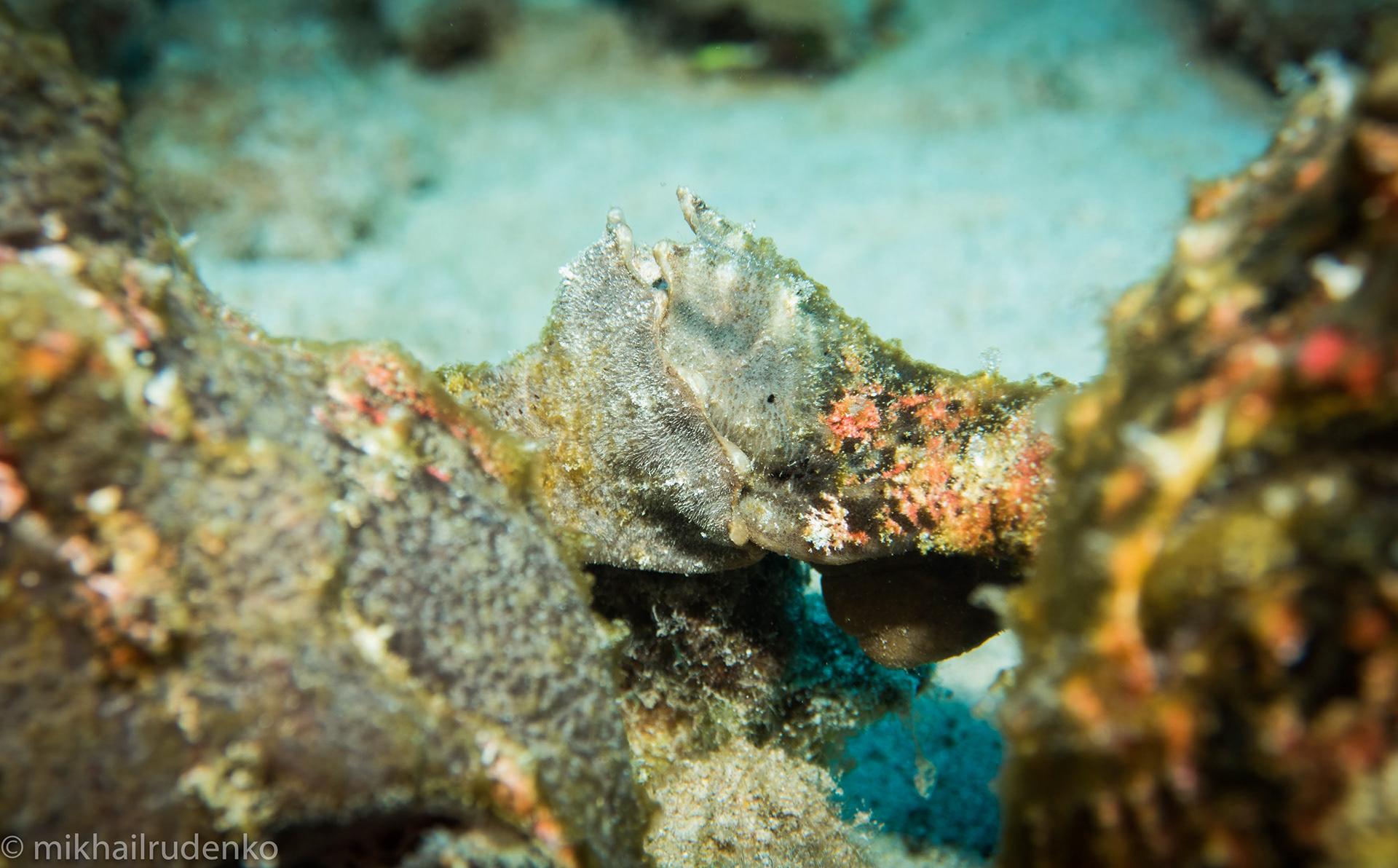 30. Frodo and Big Mama holding hands