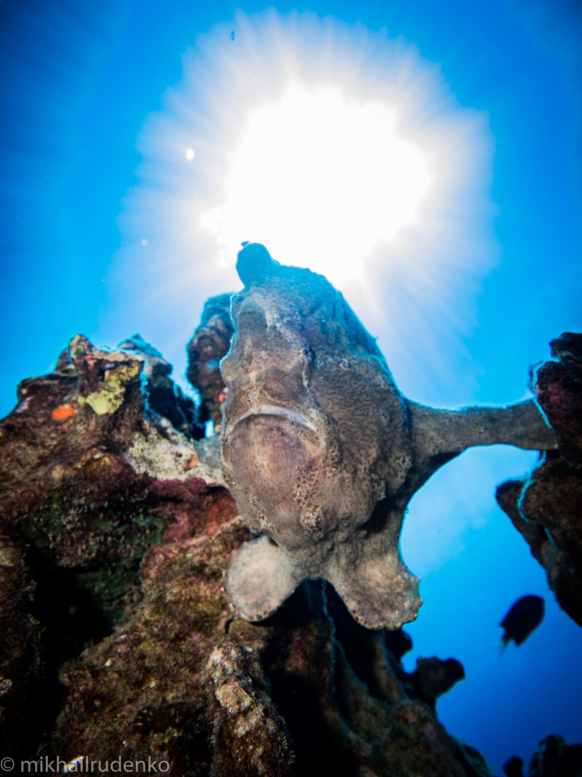 25. Dwayne "The Rock"