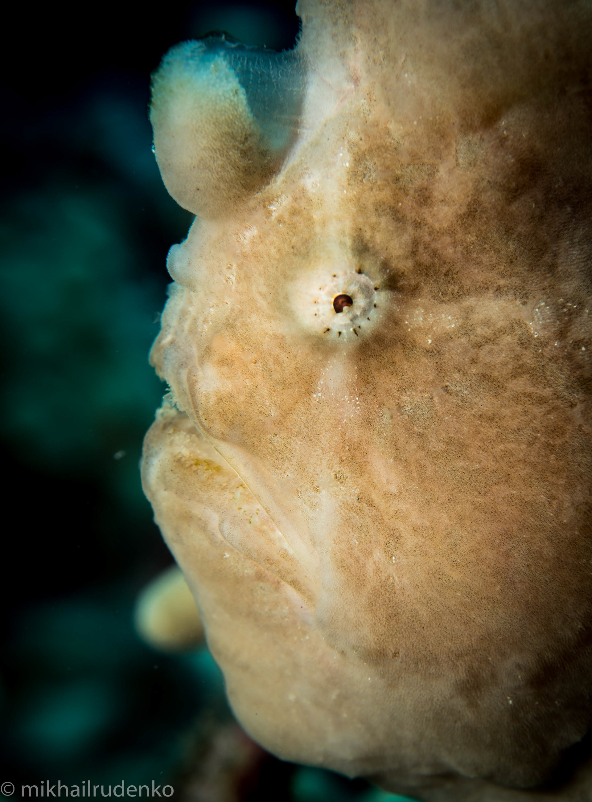 23. Casper (changed colors)