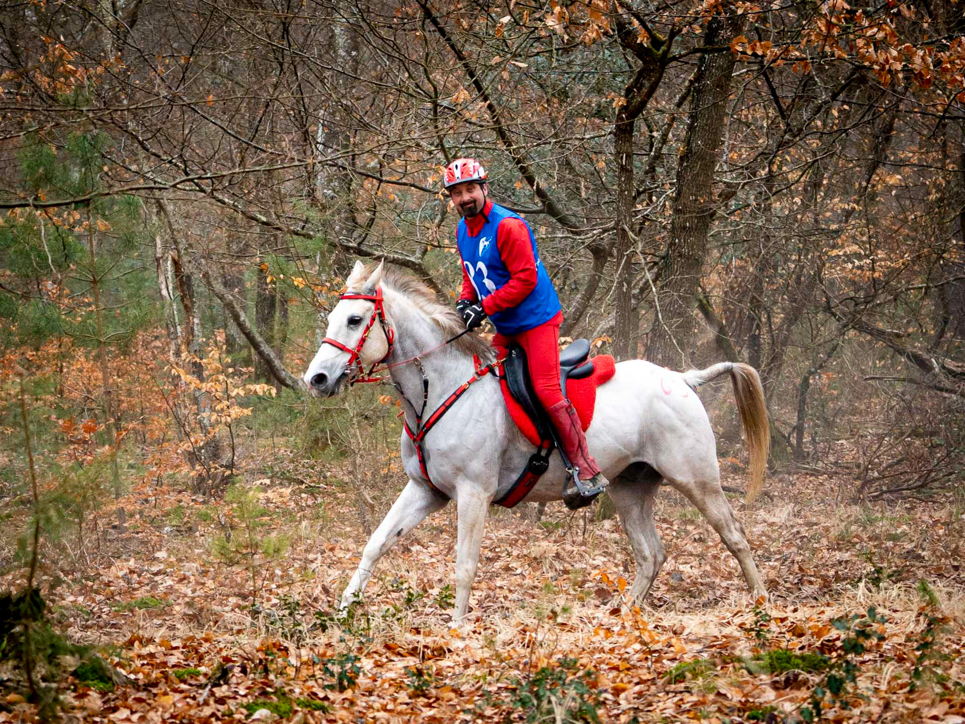 Écuries Al Andalus - Reportage photo endurance équestre