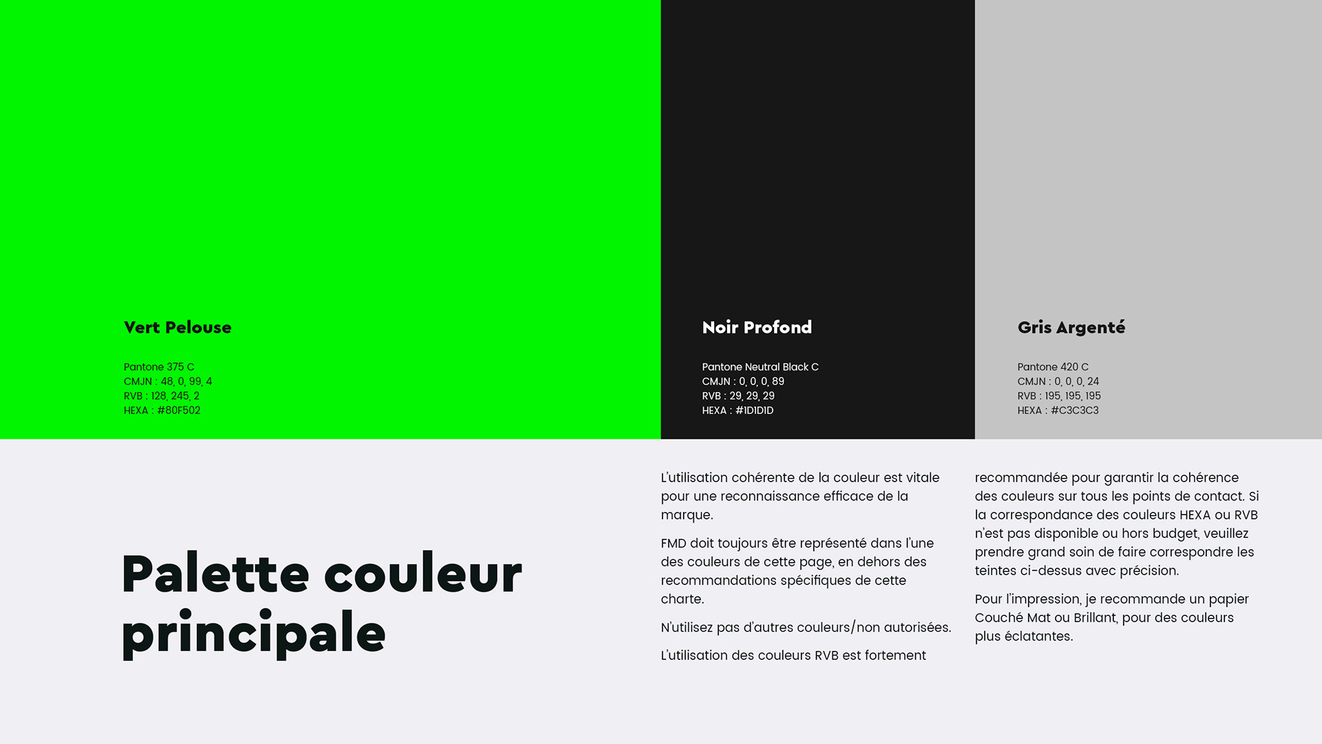 Extrait du document de charte graphique FMD