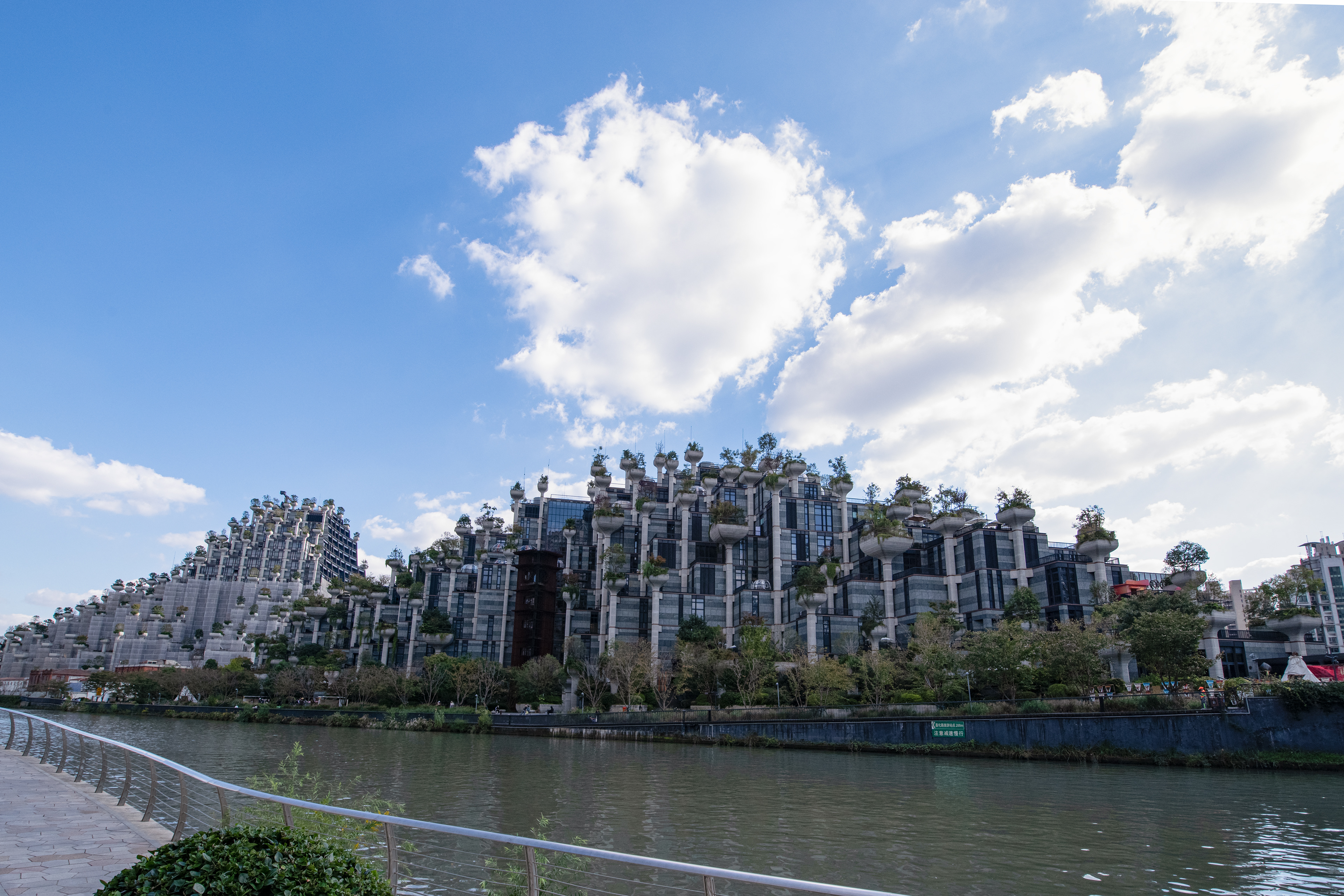 Shanghai - 1000 Trees - 06.11.2024