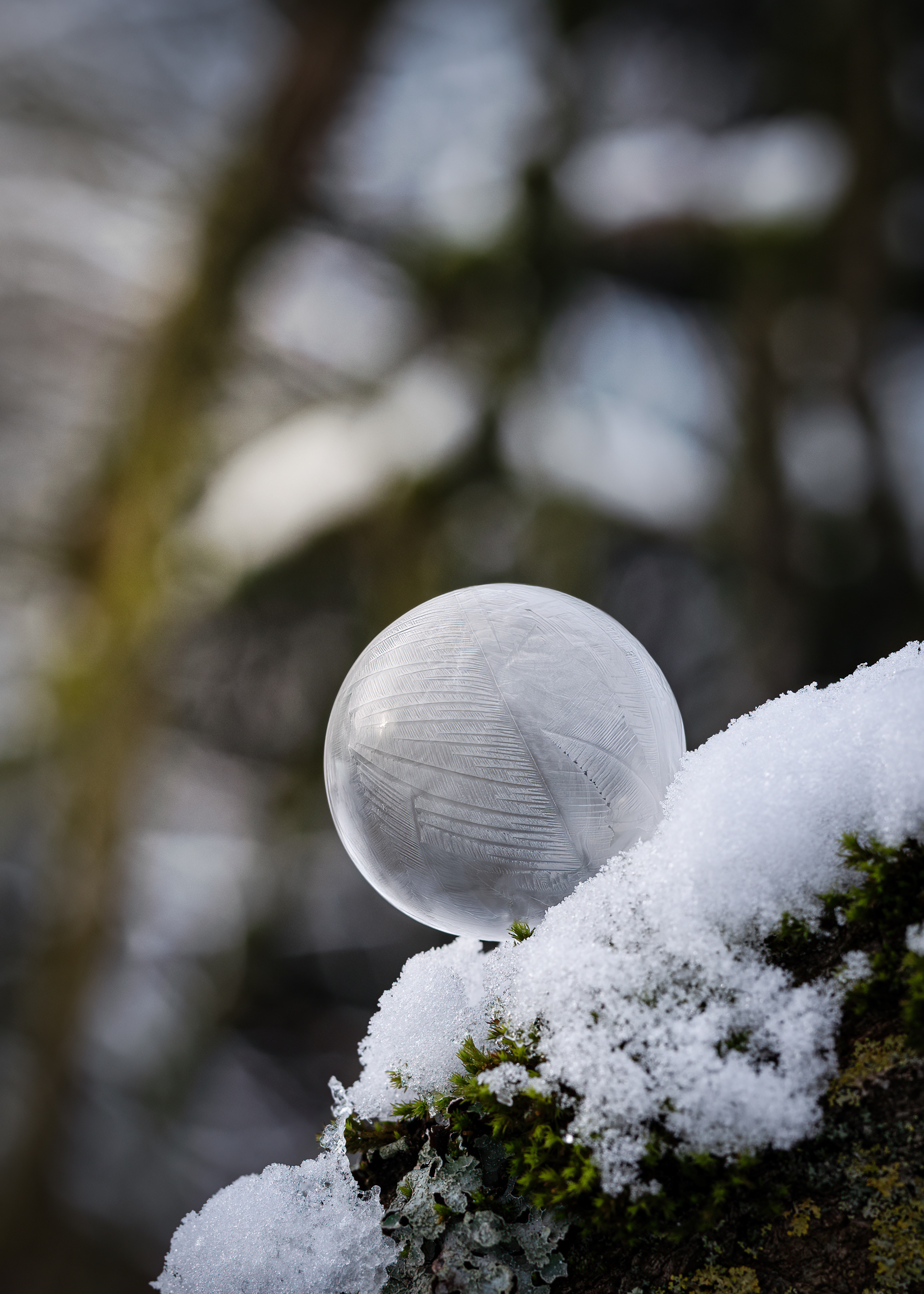 Gefrorene Seifenblase - Würzburg - 21.01.2024