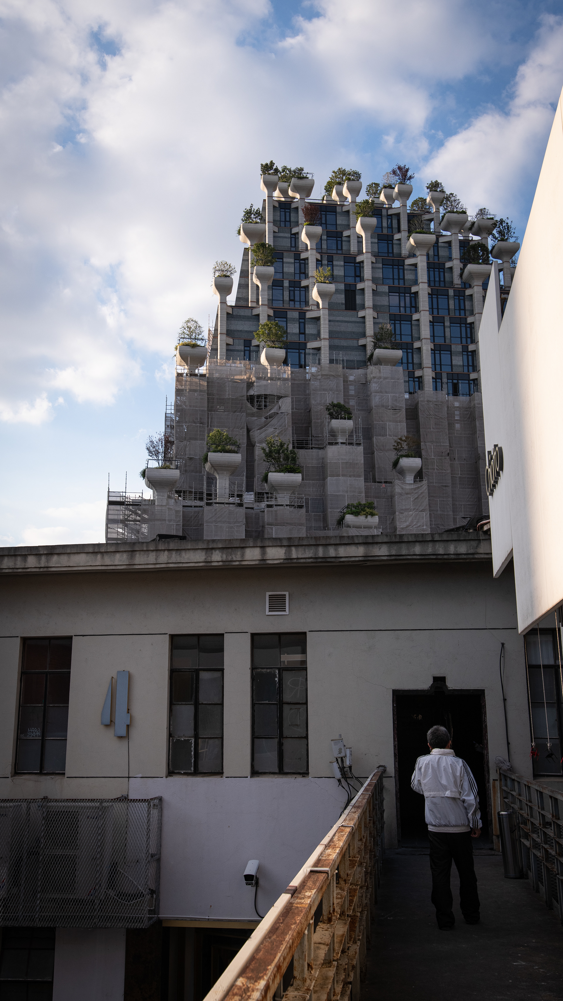 Shanghai - 1000 Trees / M50 Art District - 06.11.2024