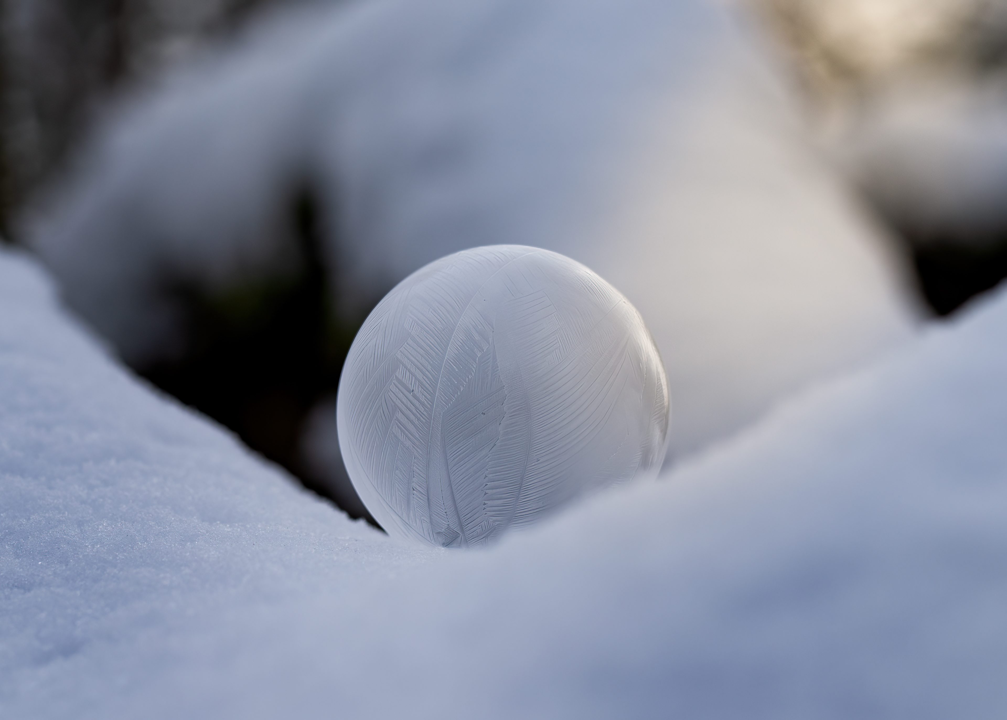 Gefrorene Seifenblase - Würzburg - 21.01.2024