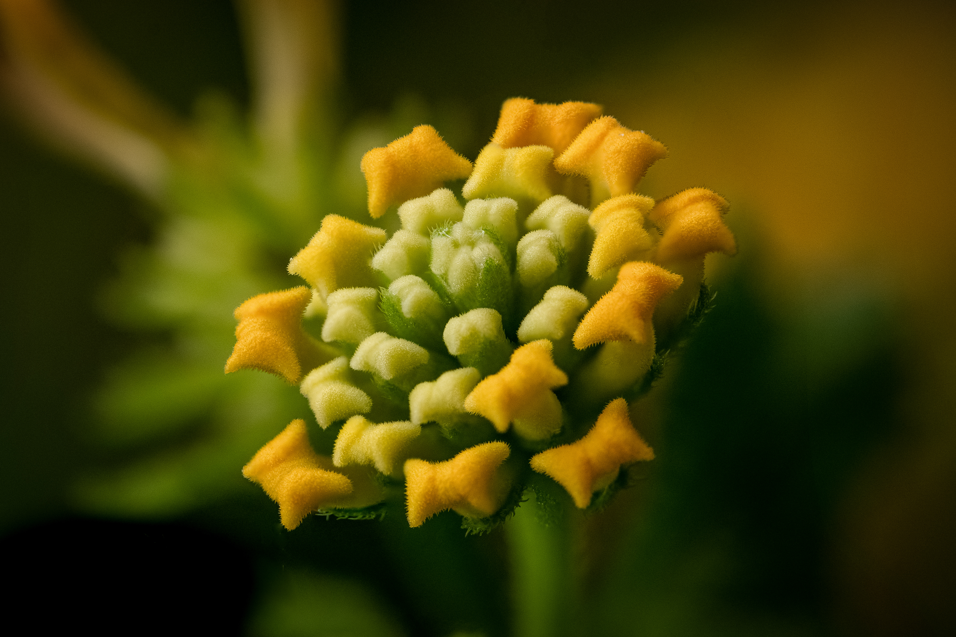 Makro - Würzburg - 12.06.2022