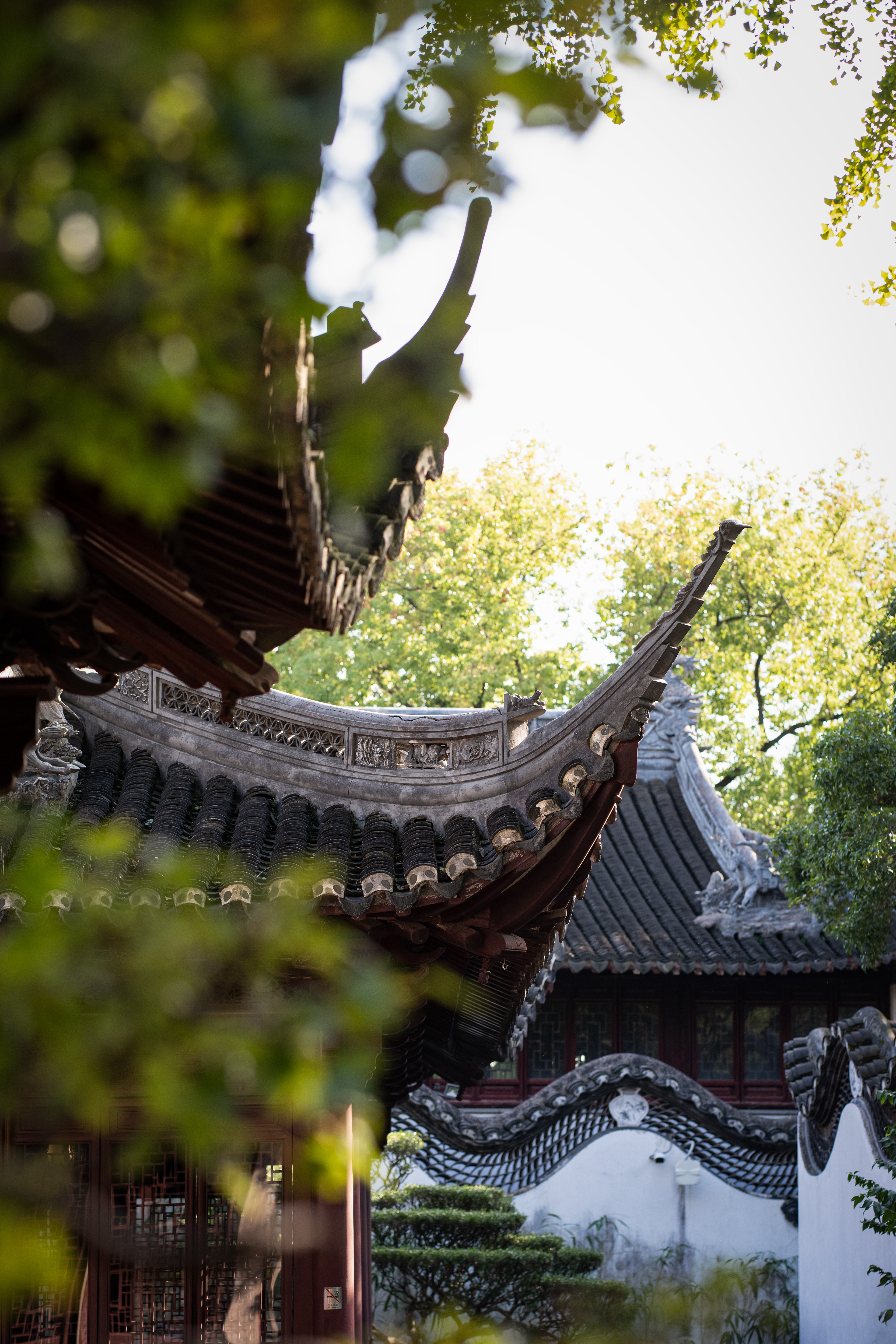 Shanghai - Yuyuan Garden - 05.11.2024