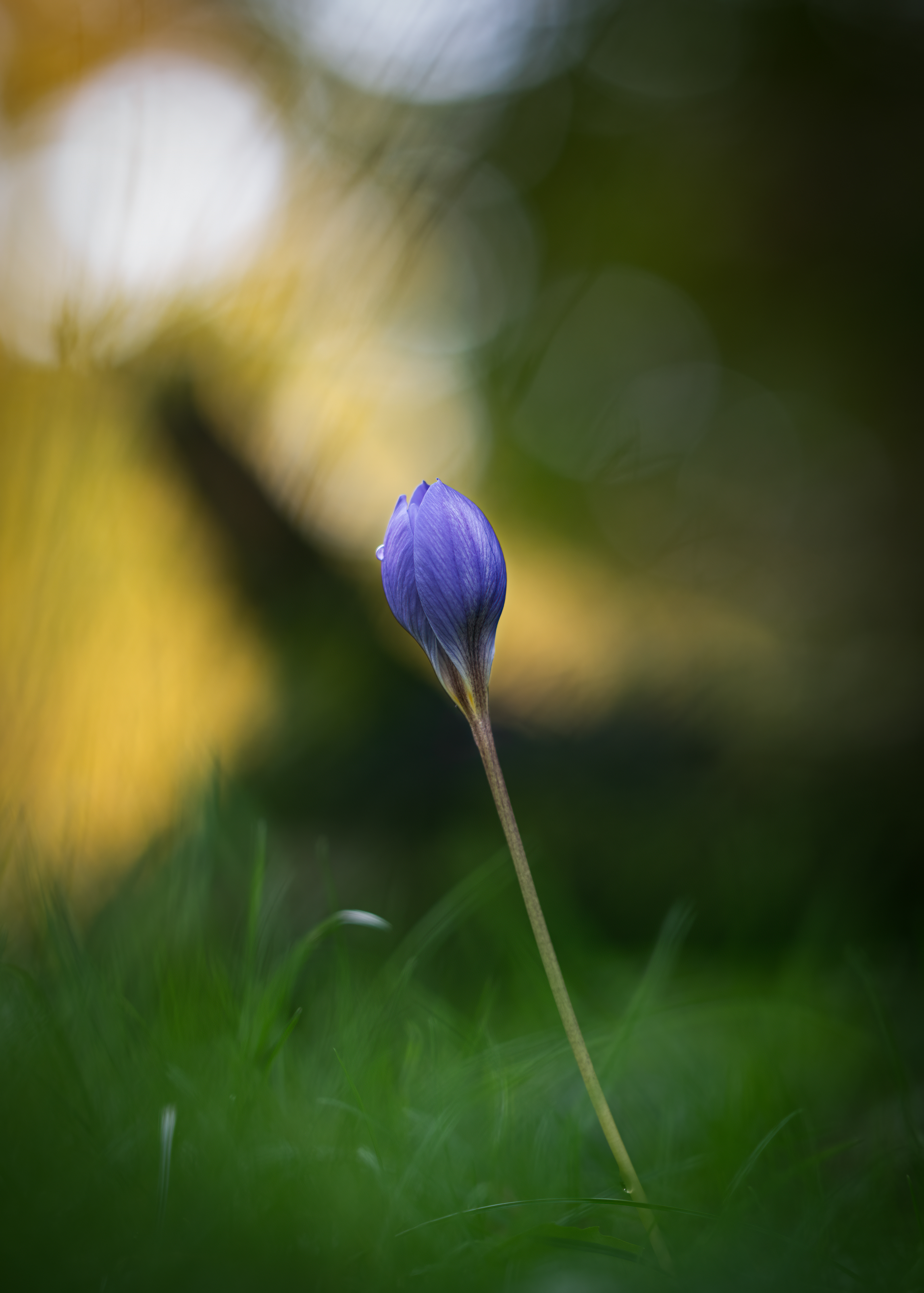 Palmengarten Frankfurt - 26.10.2023