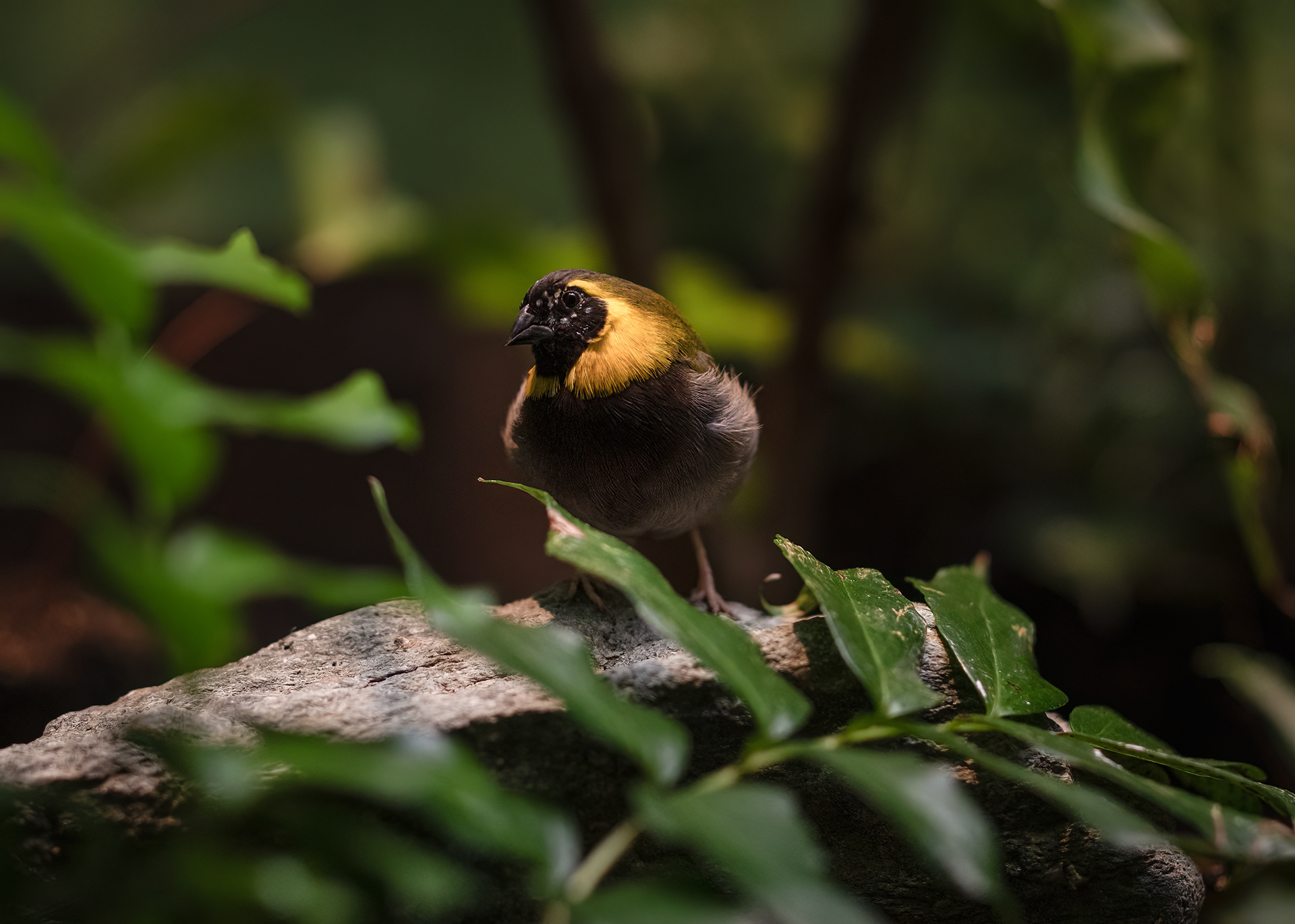 Zoo Frankfurt - 26.04.2025