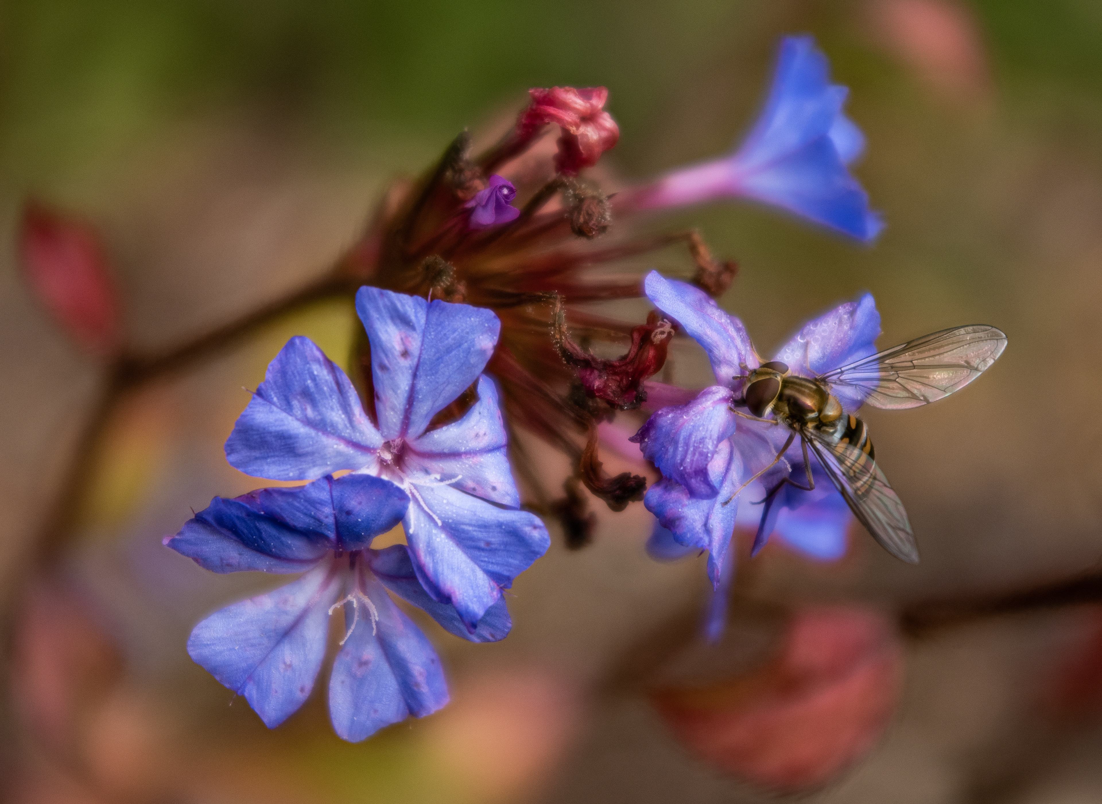 Botanischer Garten Würzburg - 17.10.2021
