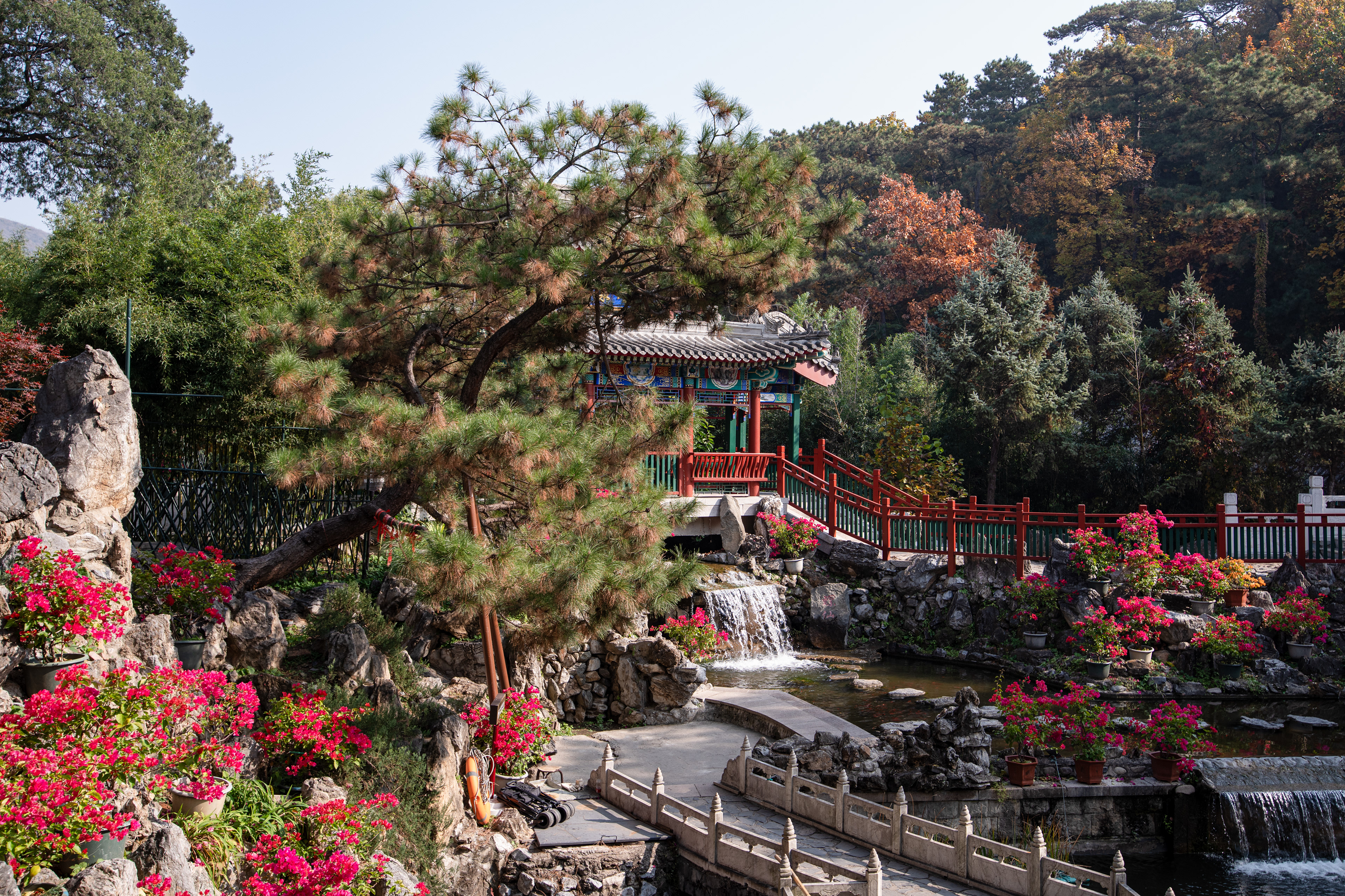Peking -  Hongluo Tempel - 29.10.2024