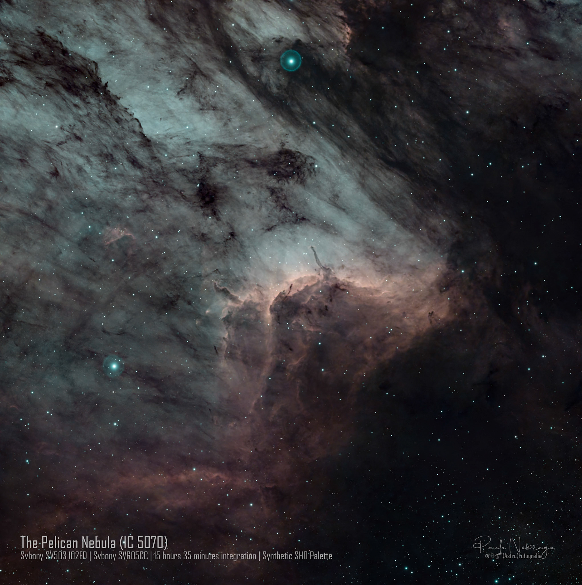 The Pelican Nebula (IC 5070) — Synthetic SHO: Emission Nebula &amp; Stellar NurseryLocated roughly 2,000 light-years away in the constellation Cygnus, the Pelican Nebula is an active star-forming region associated with the North America Nebula. Processed here in narrowband, this deep-sky capture highlights the dynamic ionization front where energetic radiation from young stars sculpts towering ridges of cold gas and dark interstellar dust.