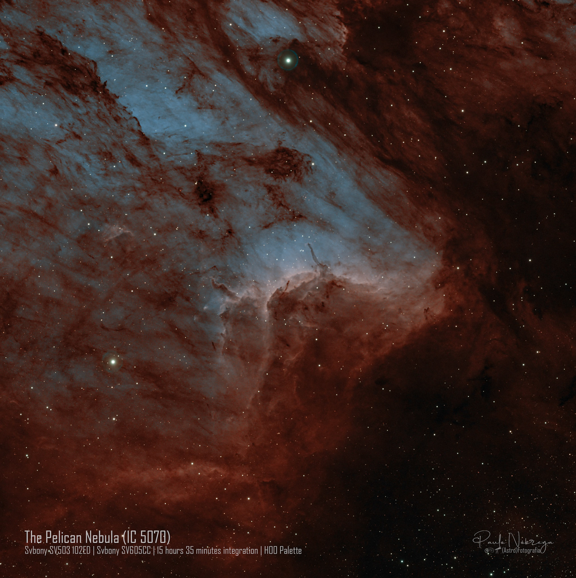 The Pelican Nebula (IC 5070) — HOO: Emission Nebula &amp; Stellar NurseryLocated roughly 2,000 light-years away in the constellation Cygnus, the Pelican Nebula is an active star-forming region associated with the North America Nebula. Processed here in narrowband, this deep-sky capture highlights the dynamic ionization front where energetic radiation from young stars sculpts towering ridges of cold gas and dark interstellar dust.
