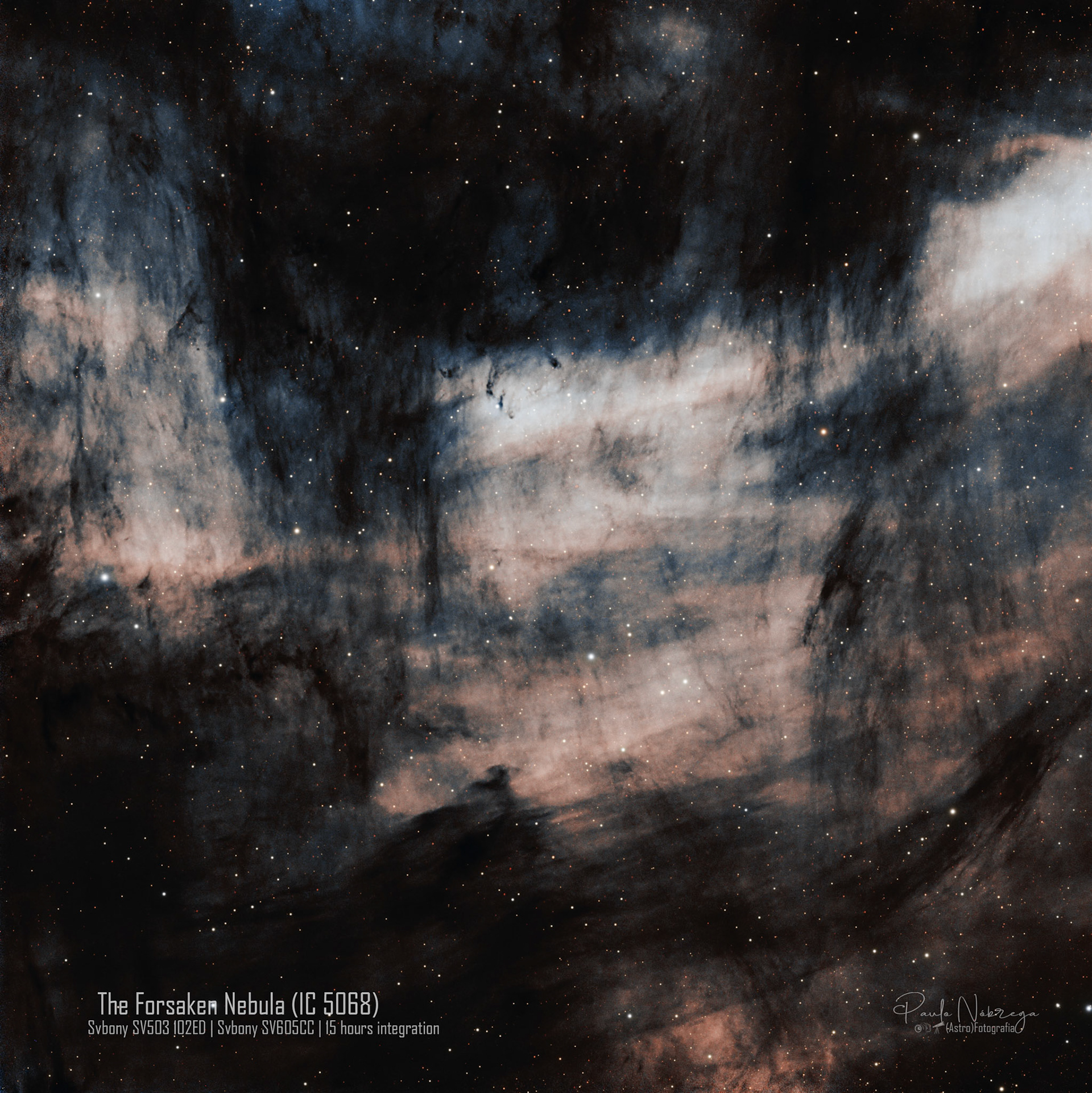 The Forsaken Nebula (IC 5068) — Emission Nebula &amp; Molecular CloudLocated approximately 2,000 light-years away in the constellation Cygnus, IC 5068 is an emission nebula closely tied to the vast North America and Pelican star-forming complex. This deep-sky astrophotography capture reveals luminous hydrogen and oxygen gases intertwined with dense, opaque lanes of interstellar dust that silhouette and sculpt the cosmic landscape.