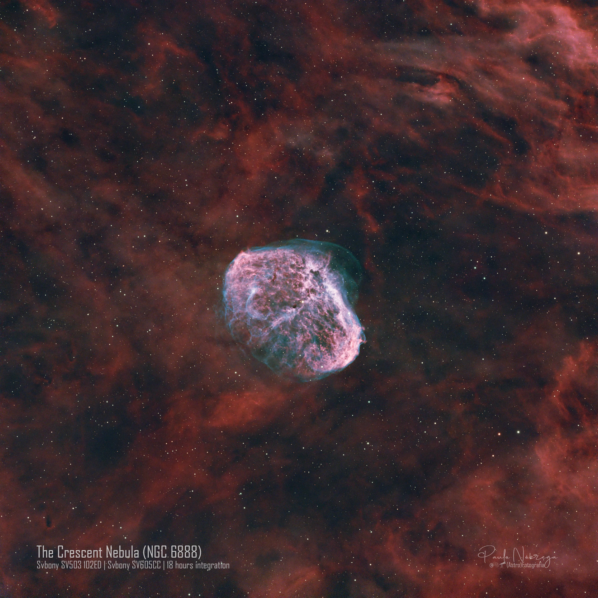 Crescent Nebula (NGC 6888 / Sharpless 105) — Emission Nebula in CygnusLocated roughly 5,000 light-years away in the constellation Cygnus, the Crescent Nebula is a cosmic bubble blown by powerful stellar winds from the central Wolf-Rayet star (WR 136). This deep-sky astrophotography capture reveals the delicate, brain-like shell formed as fast winds collide with slower gas ejected earlier in the star's life, glowing brightly in ionized hydrogen (H-alpha) and enveloped in a faint outer envelope of doubly ionized oxygen (OIII).