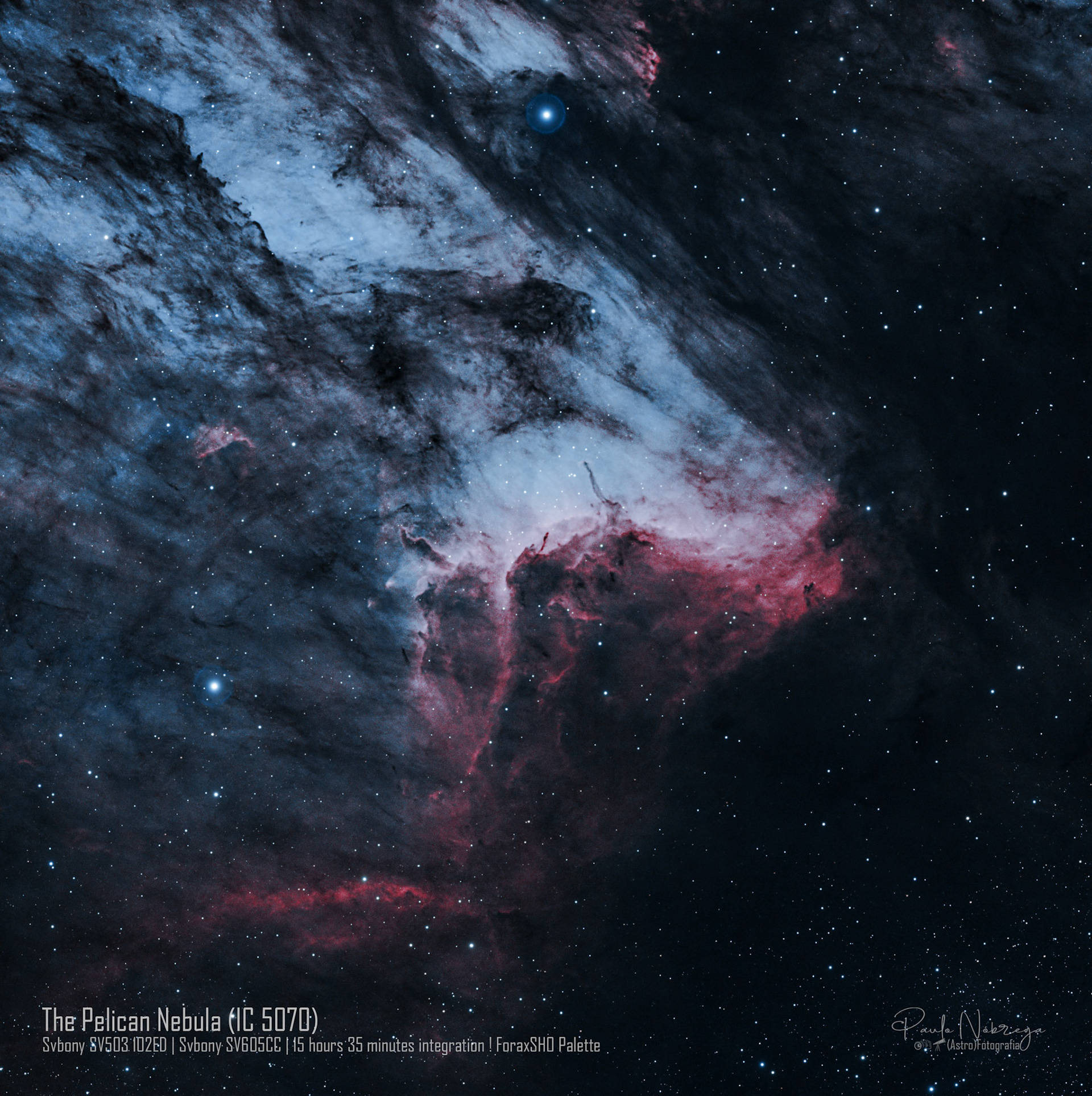 The Pelican Nebula (IC 5070) — ForaxSHO: Emission Nebula &amp; Stellar NurseryLocated roughly 2,000 light-years away in the constellation Cygnus, the Pelican Nebula is an active star-forming region associated with the North America Nebula. Processed here in narrowband, this deep-sky capture highlights the dynamic ionization front where energetic radiation from young stars sculpts towering ridges of cold gas and dark interstellar dust.