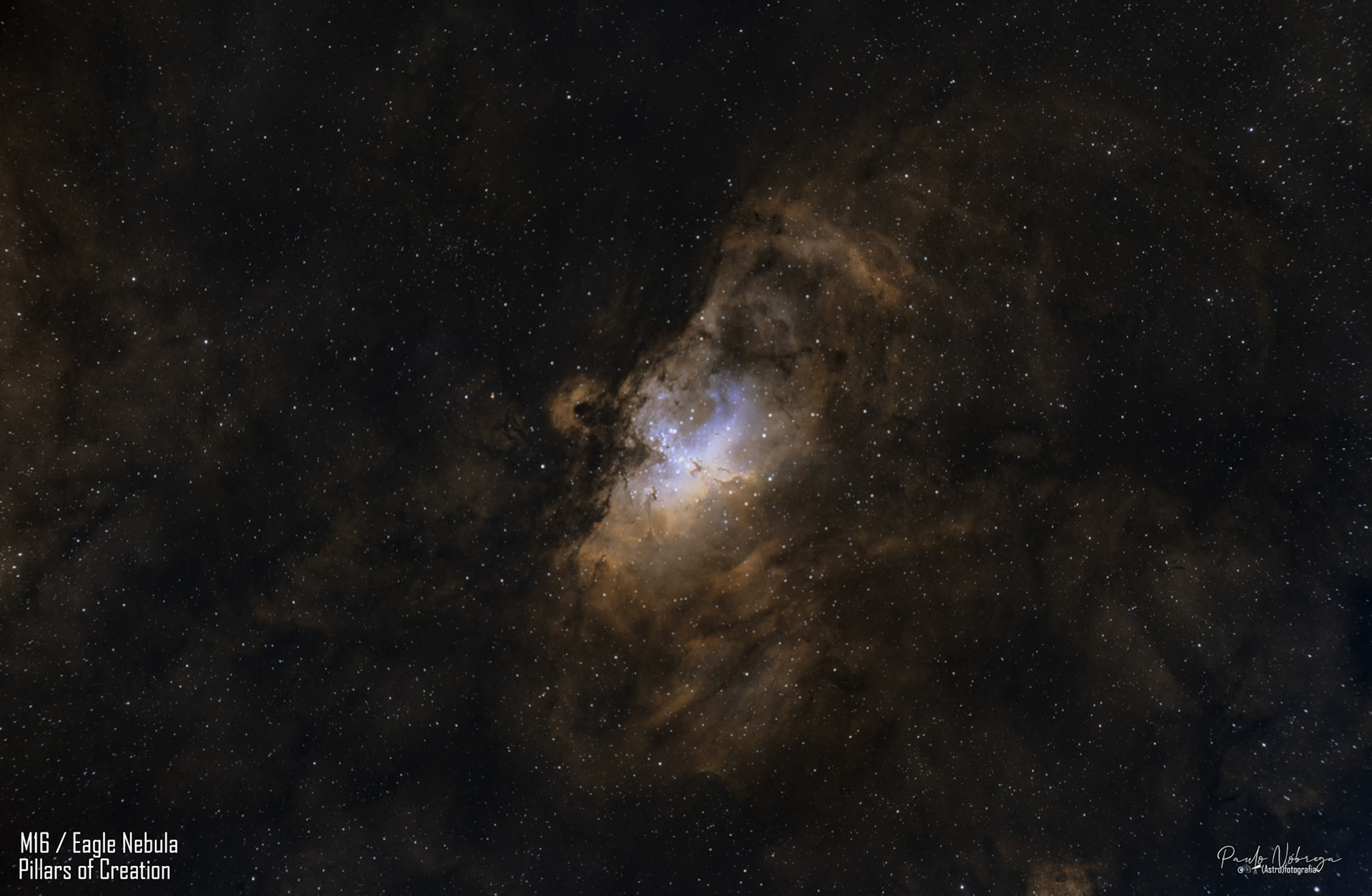 Eagle Nebula &amp; Pillars of Creation (Messier 16 / NGC 6611)Located roughly 7,000 light-years away in the Serpens constellation, the Eagle Nebula is an active star-forming region. This deep-sky astrophotography capture reveals the iconic "Pillars of Creation" — towering columns of dense interstellar gas and cosmic dust sculpted by ultraviolet radiation from young, massive stars.
