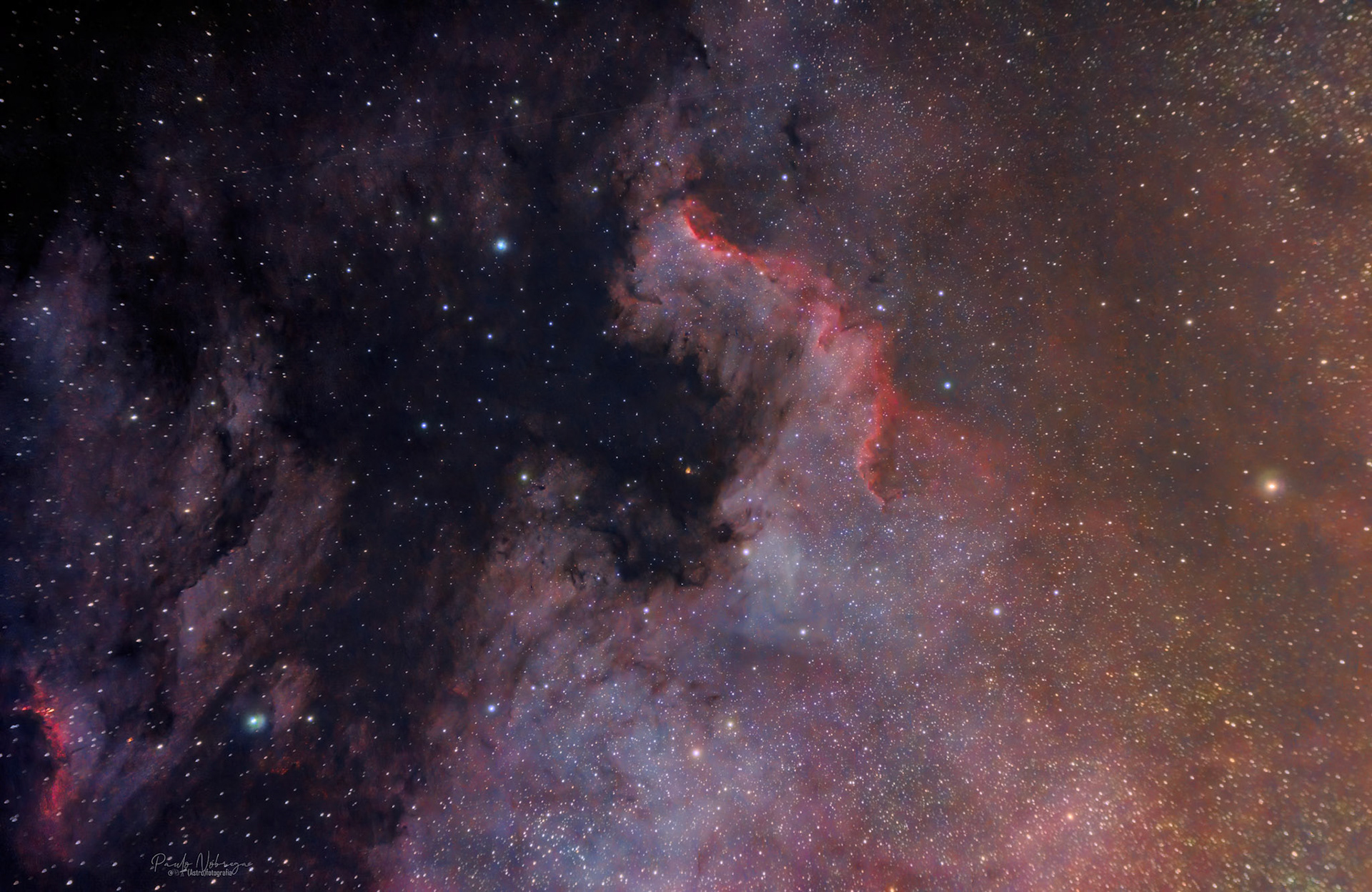 North America Nebula (NGC 7000) &amp; Cygnus Molecular CloudLocated approximately 2,590 light-years away in the constellation Cygnus, this vast emission nebula glows brightly with ionized hydrogen (H-alpha). The prominent dark region, known as the Cygnus Wall, represents an active interstellar ridge of high-density gas and dust undergoing gravitational collapse to form new stars.