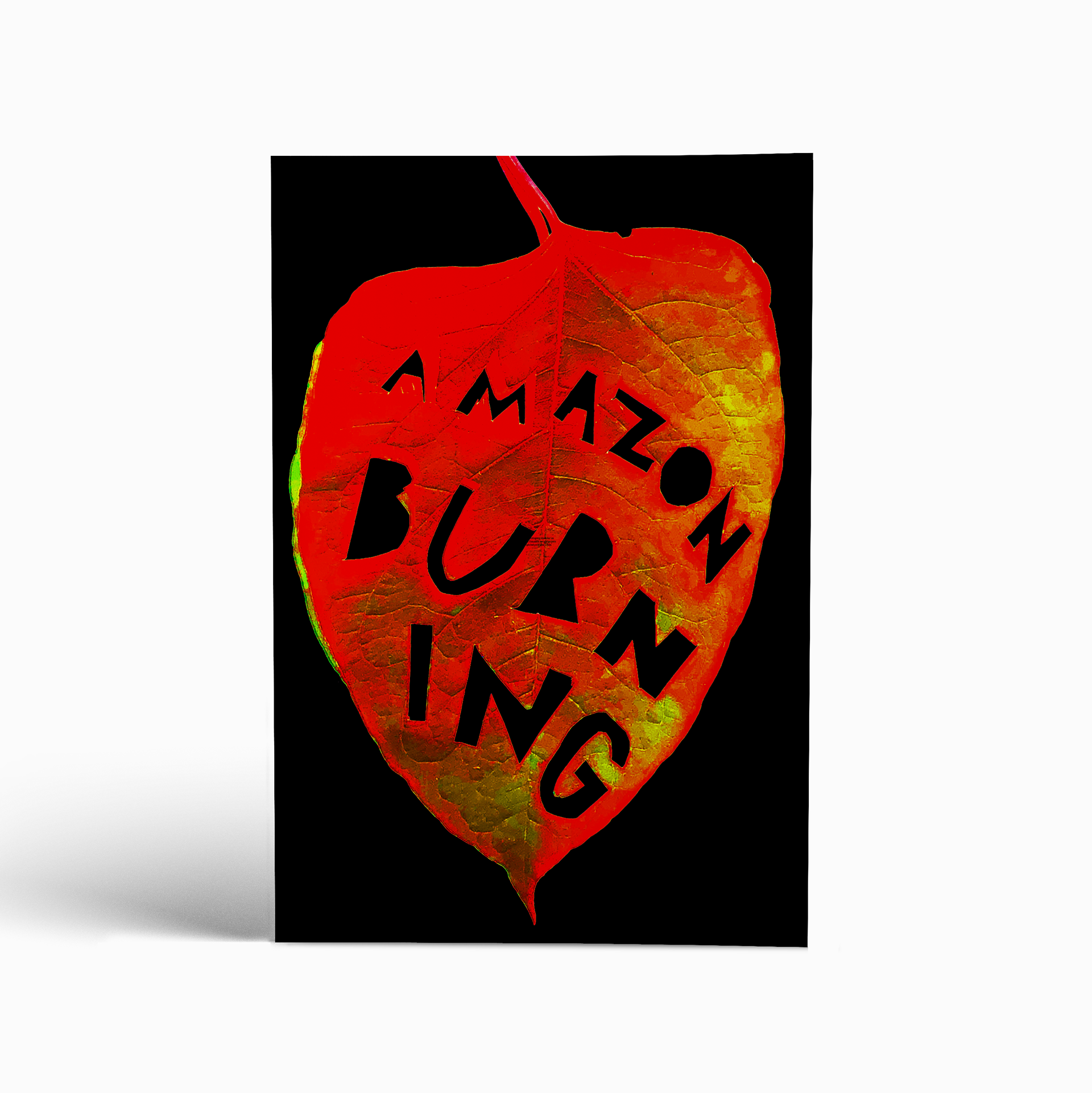Week of 8/19/19. Amazon Burning.