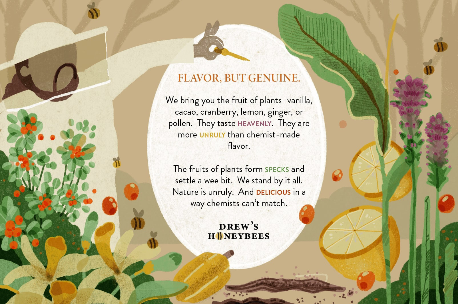 Postcard Design for Drew's Honeybees