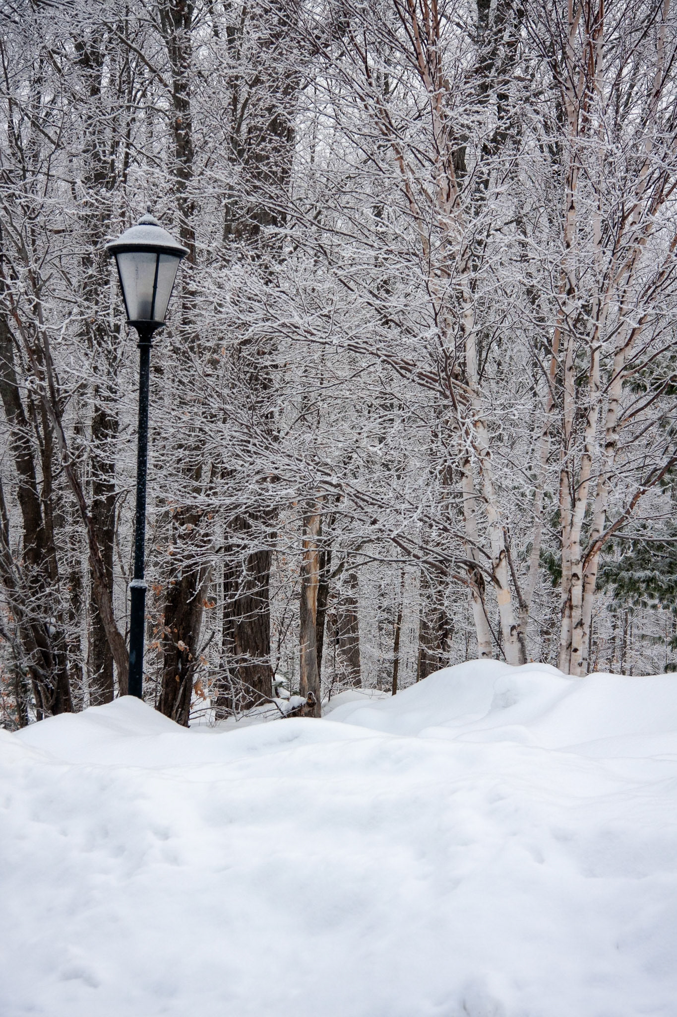 Narnia