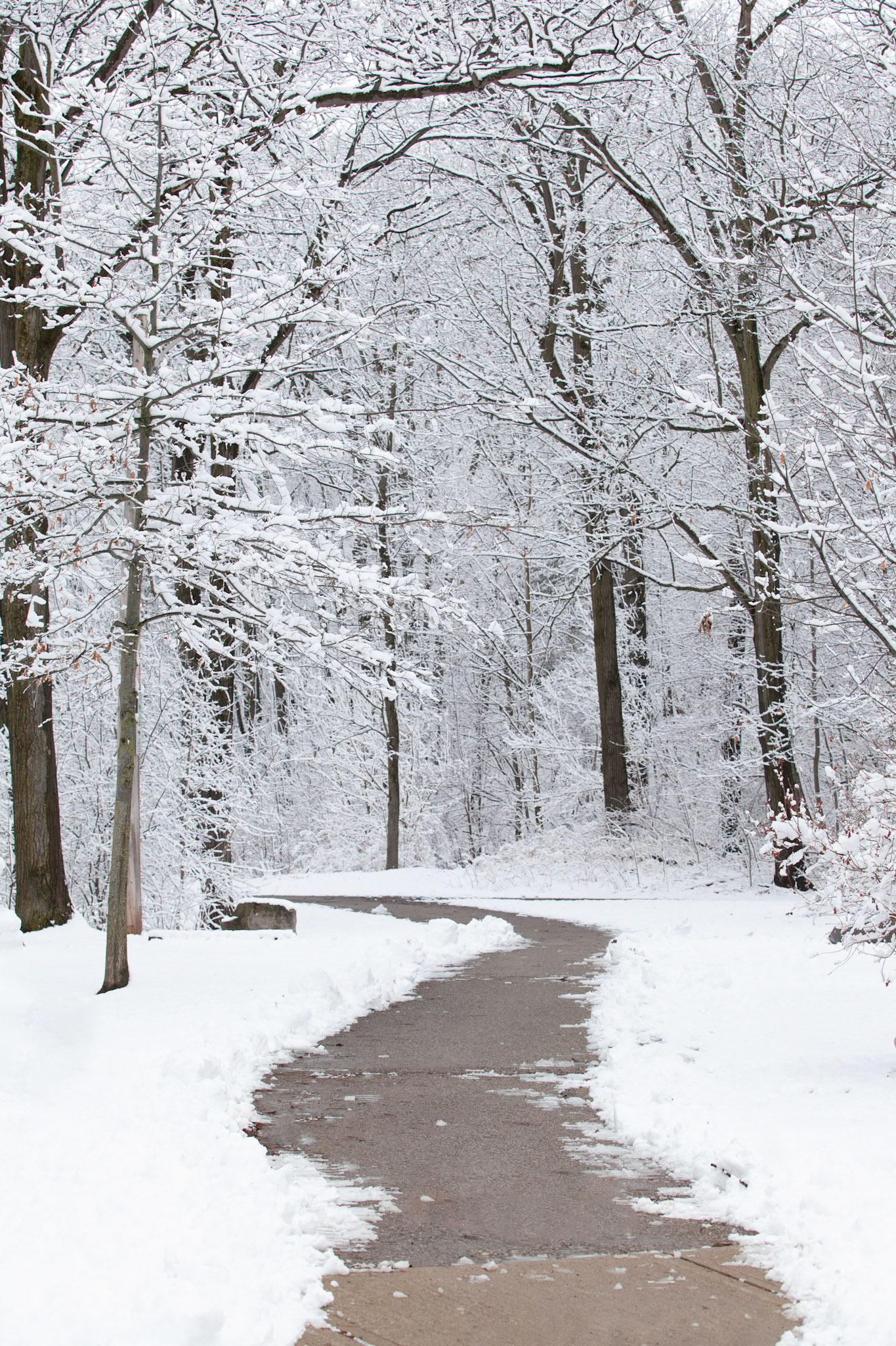 Walkway