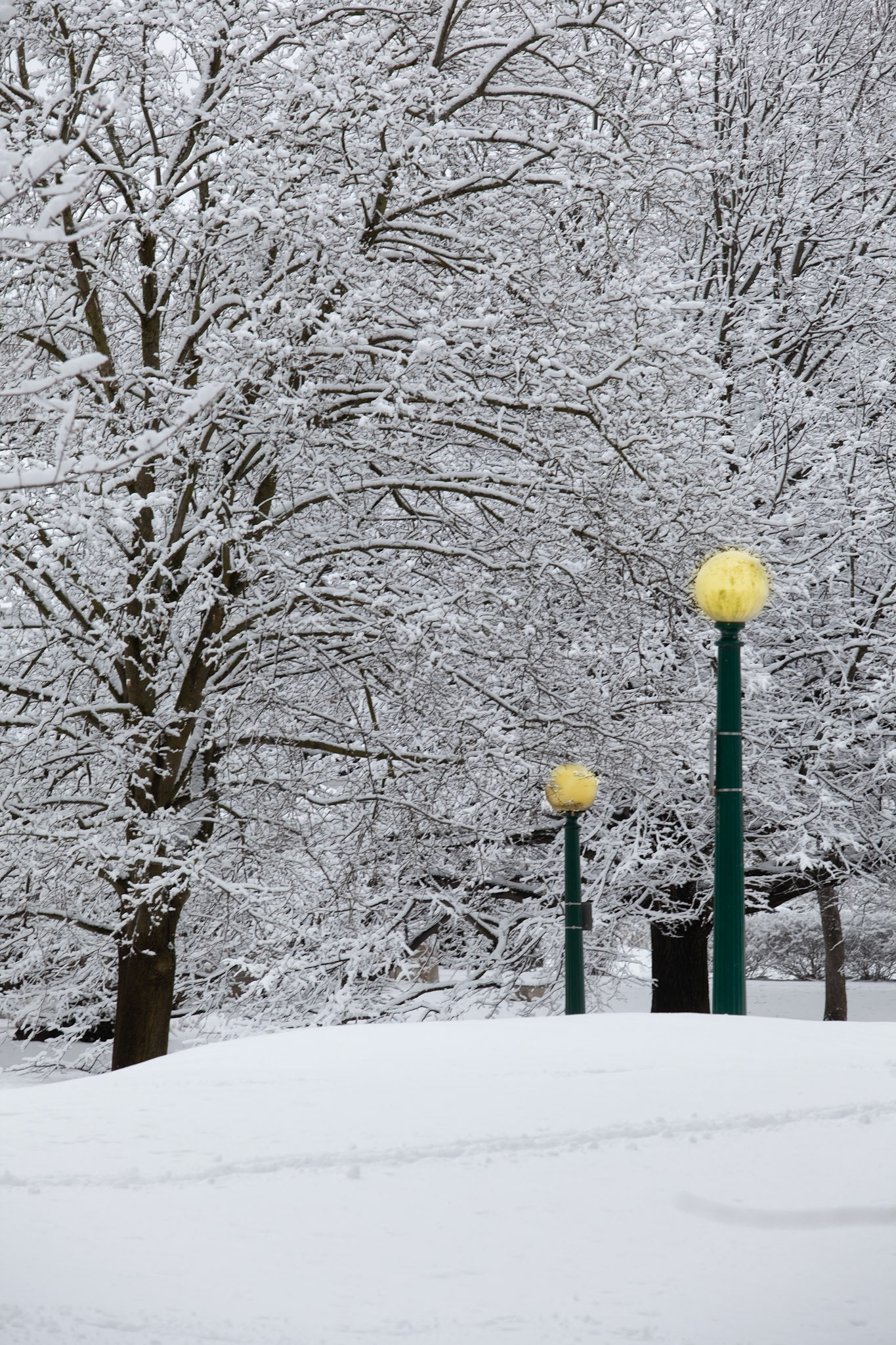 Lamp Posts