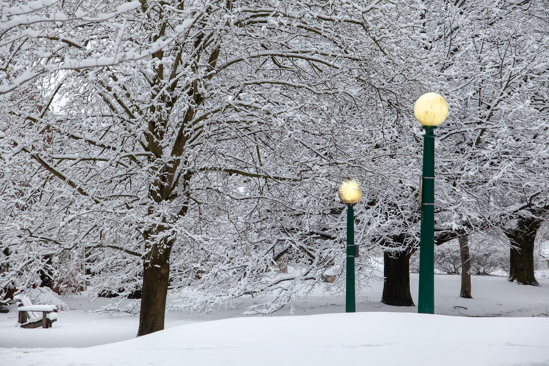 Winter Lamp Posts