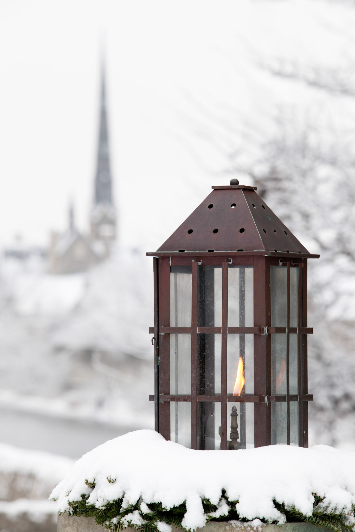 Light the Way