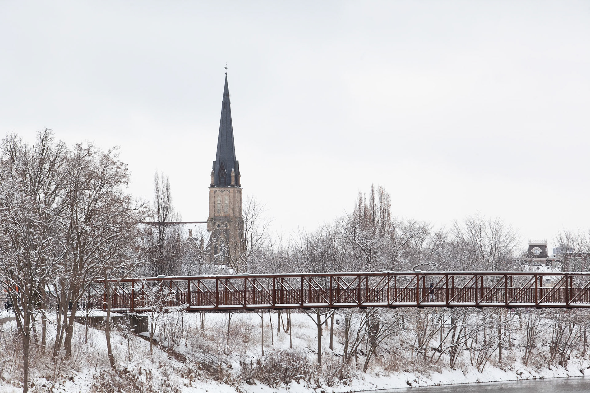 Snowy Walk