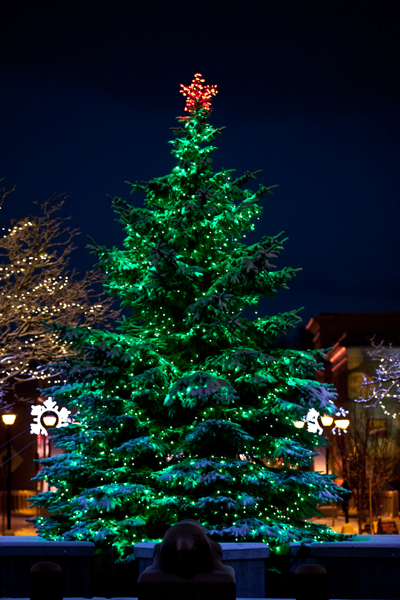 Oh Christmas Tree