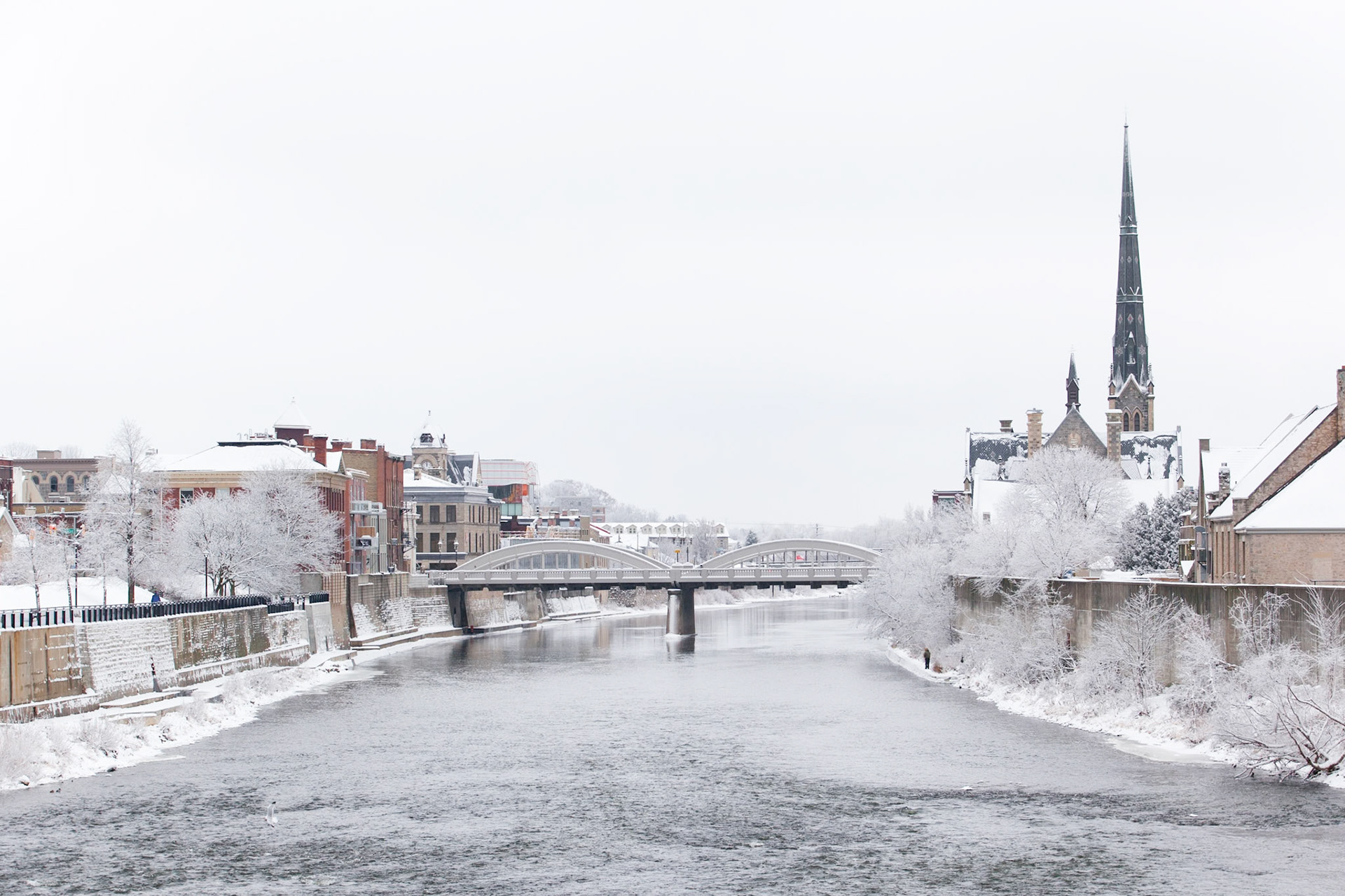 Frosted Galt