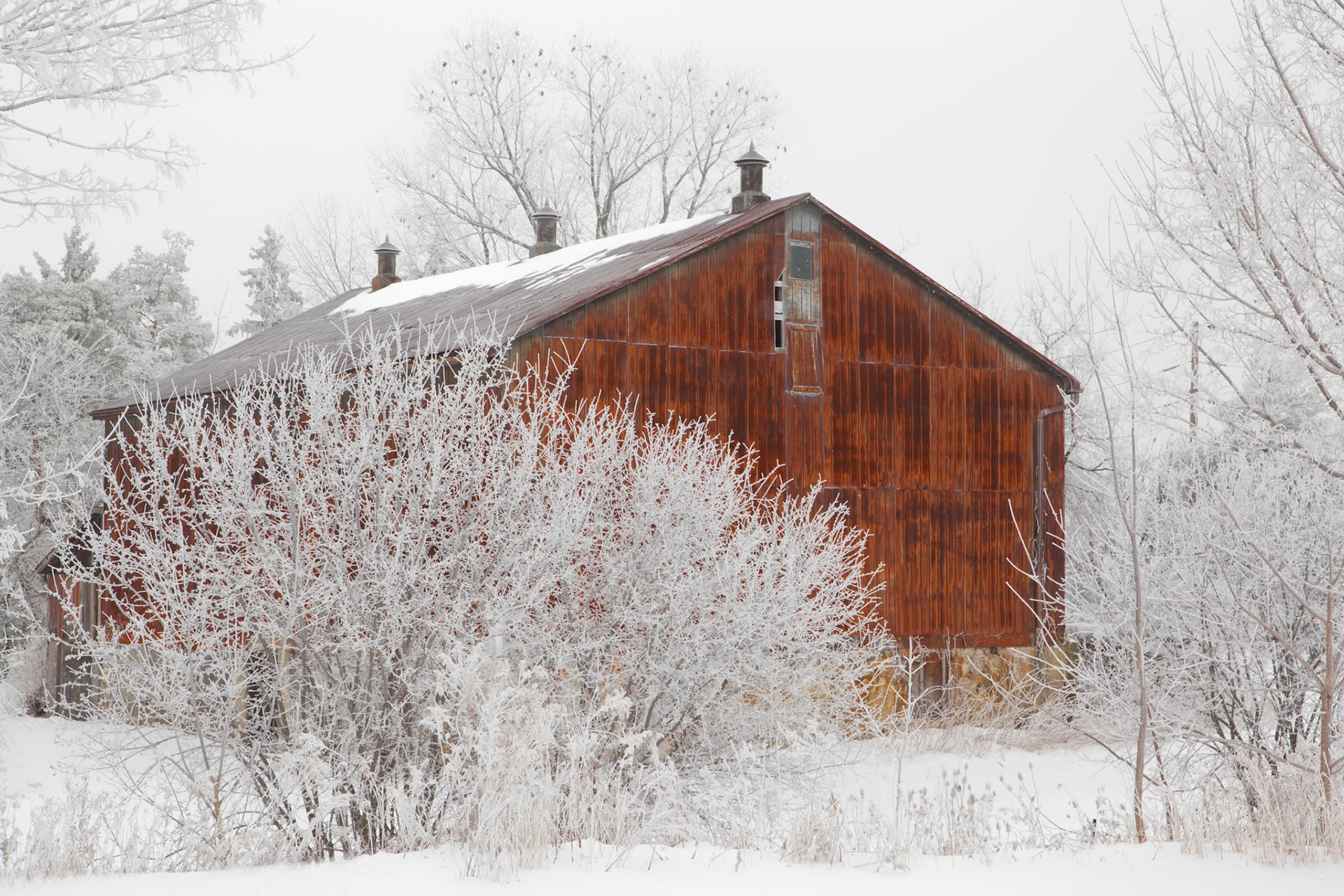 Winter Barn