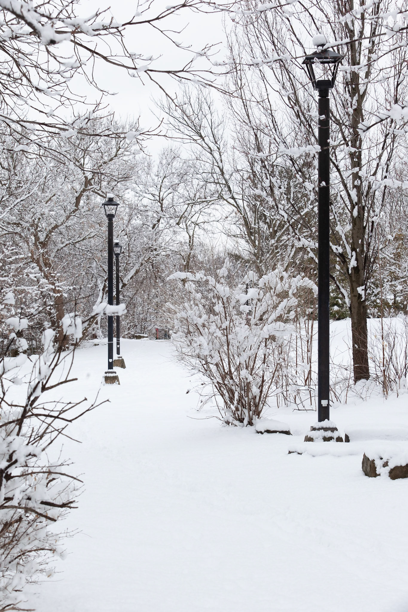 Winter Walk