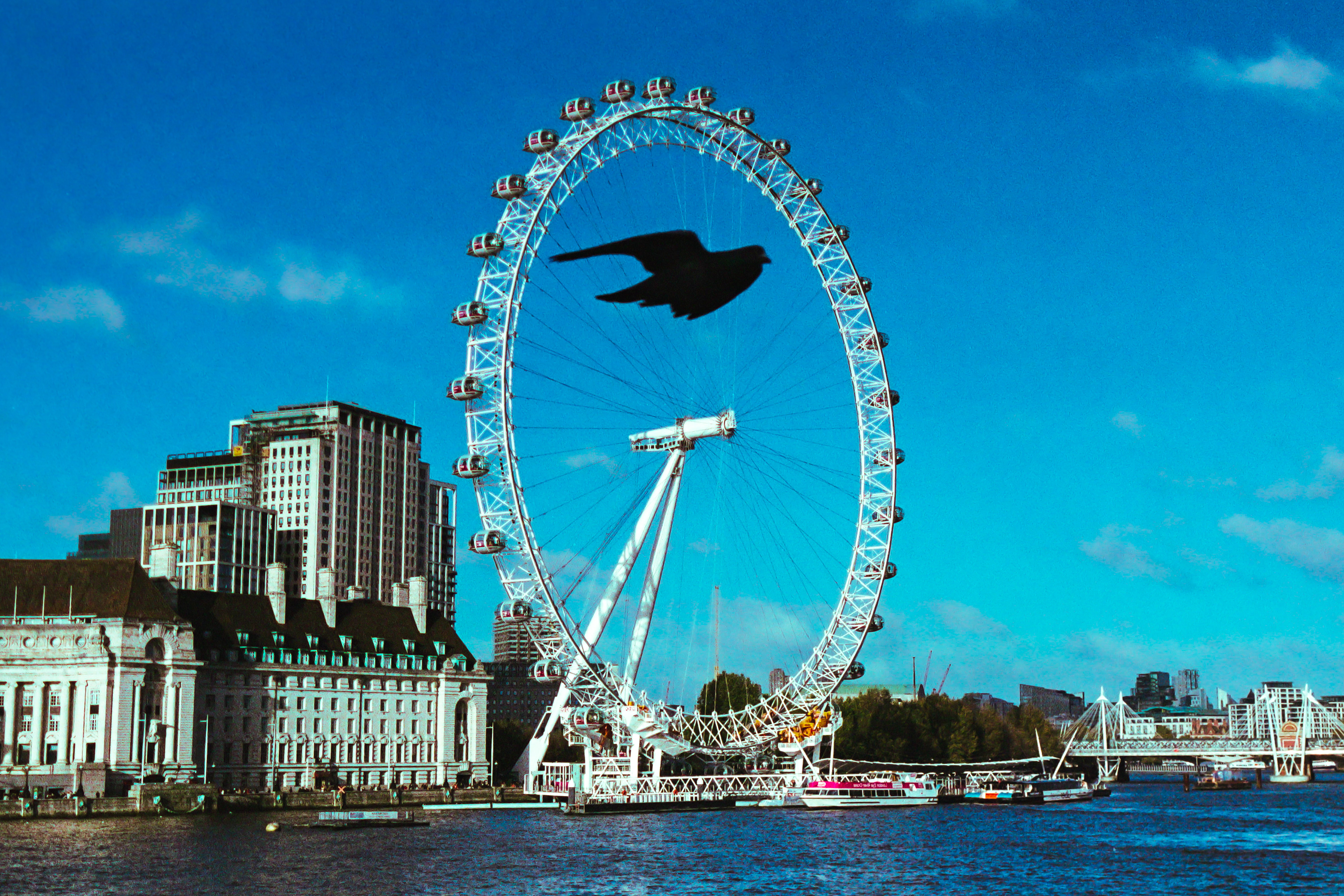 A bird flies in front of the London Eye on Wednesday, Nov. 23, 2022 in London, U.K.