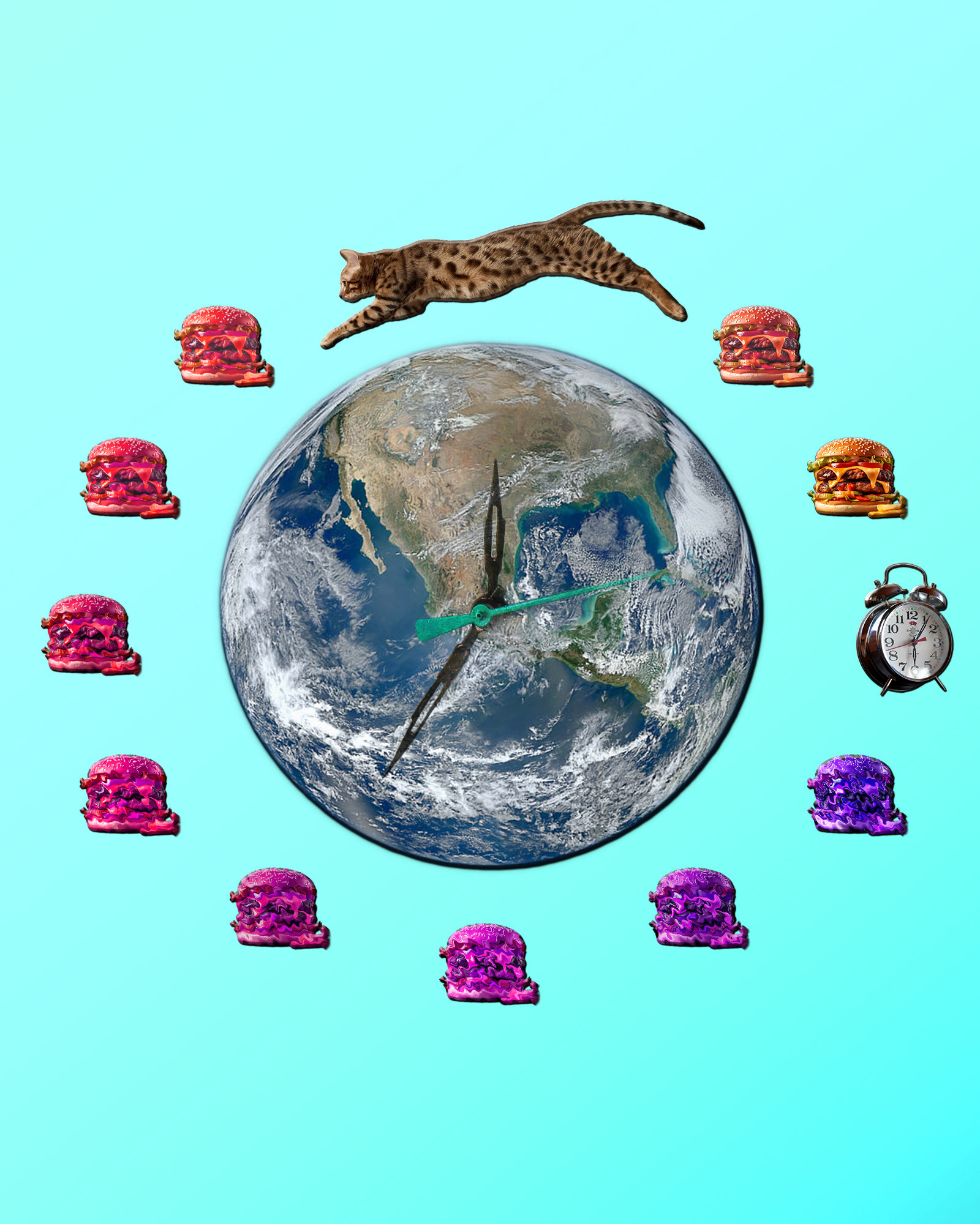 Composite Tutorial (Photoshop) - Kitty looking forward to next meal