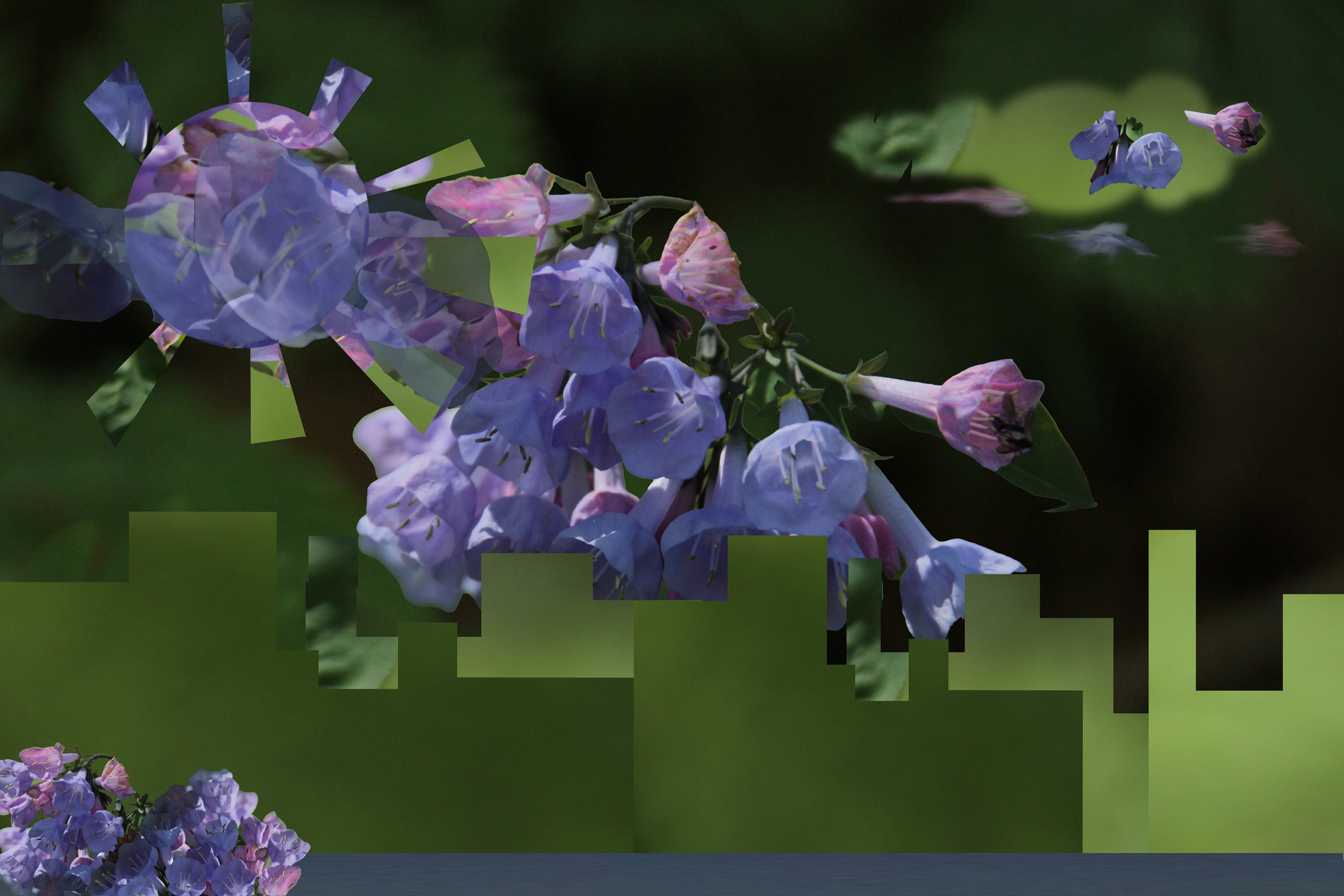 Collage Tutorial (Photoshop) - A little flower town