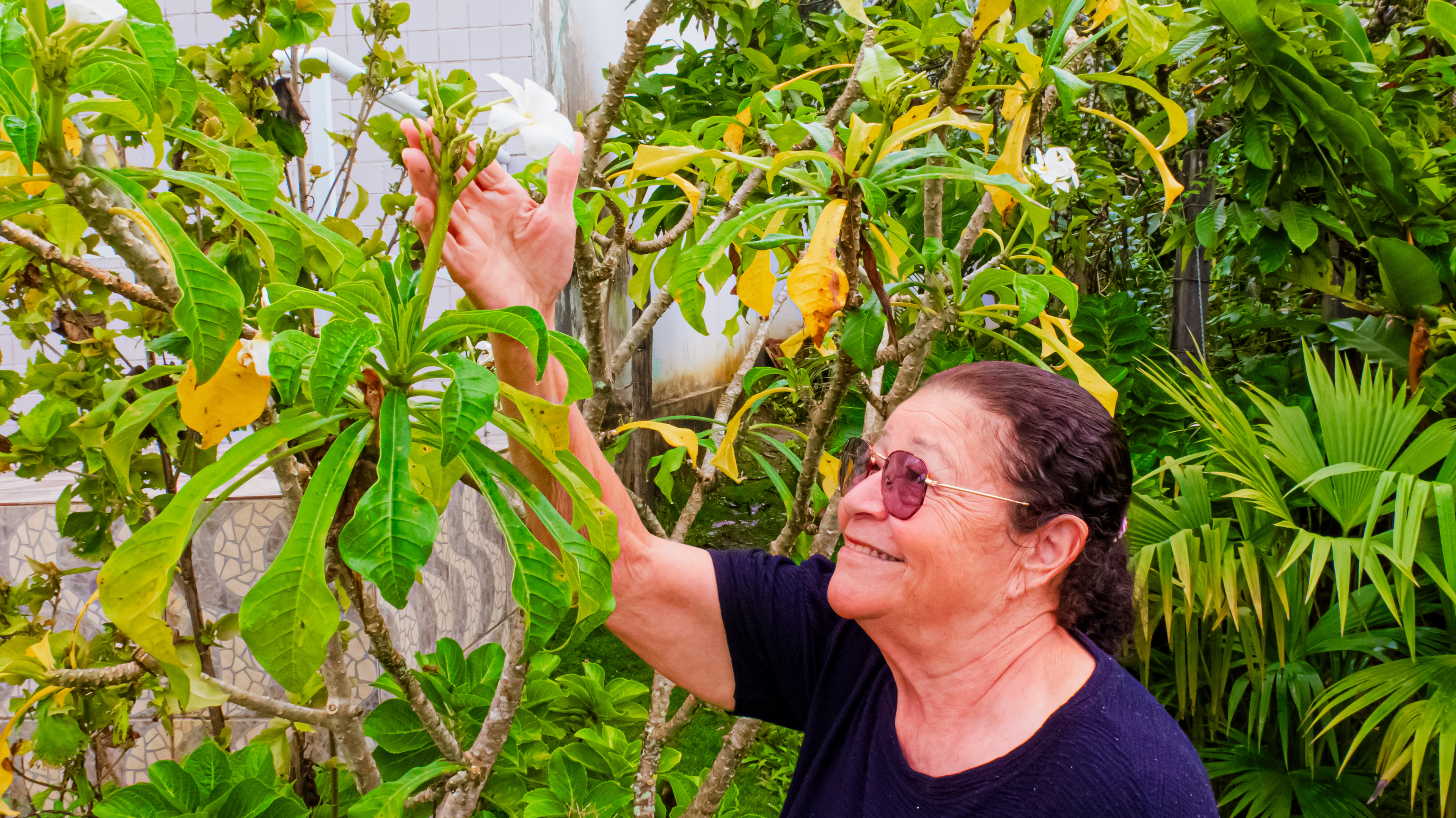 #PraTodosVerem: A fotografia colorida mostra uma senhora sorridente contemplando e tocando uma flor branca. Ela é branca, cabelos pretos presos para trás, usa óculos escuros e uma blusa de manga preta. Ela olha para cima para contemplar a flor, pois a planta tem um comprimento maior que a sua altura. O cenário é na natureza, com muitas plantas, flores brancas, galhos e folhagens verdes. Ao fundo, mostra-se parte do que aparentemente é uma casa.